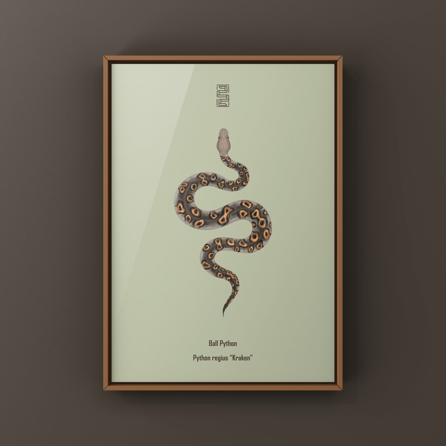 Kraken Ball Python Art Print from The Silk Ranch
