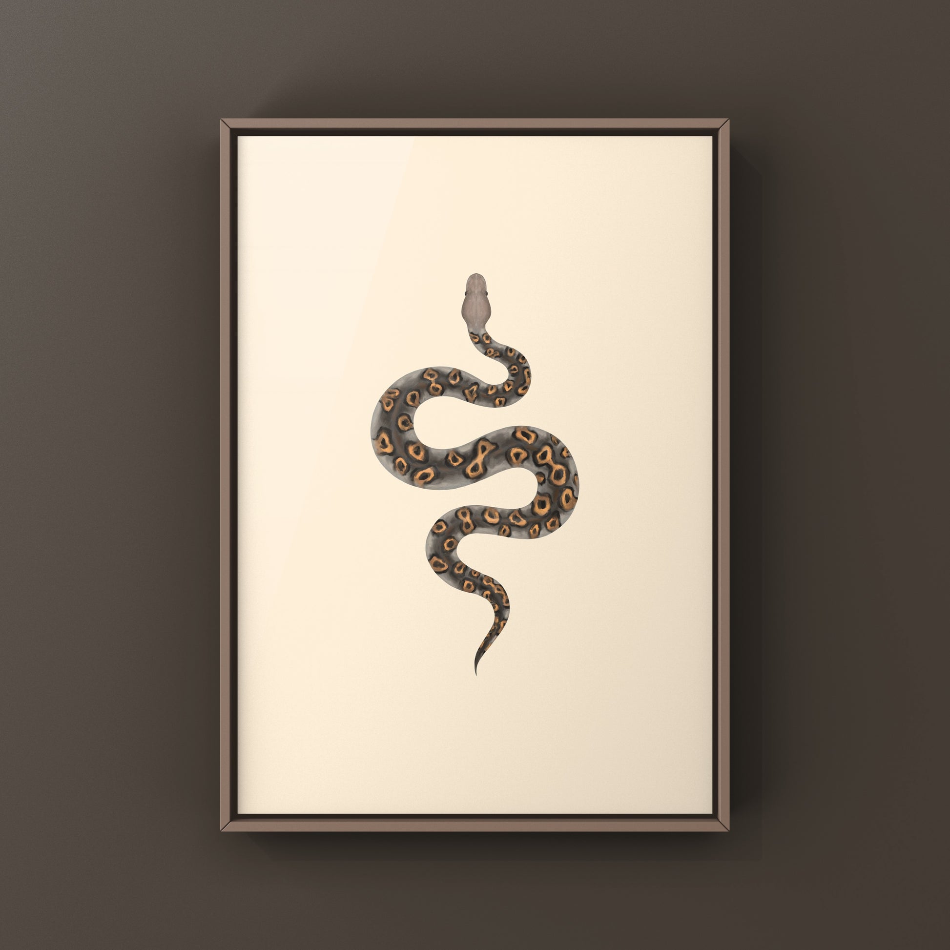 Kraken Ball Python Art Print from The Silk Ranch