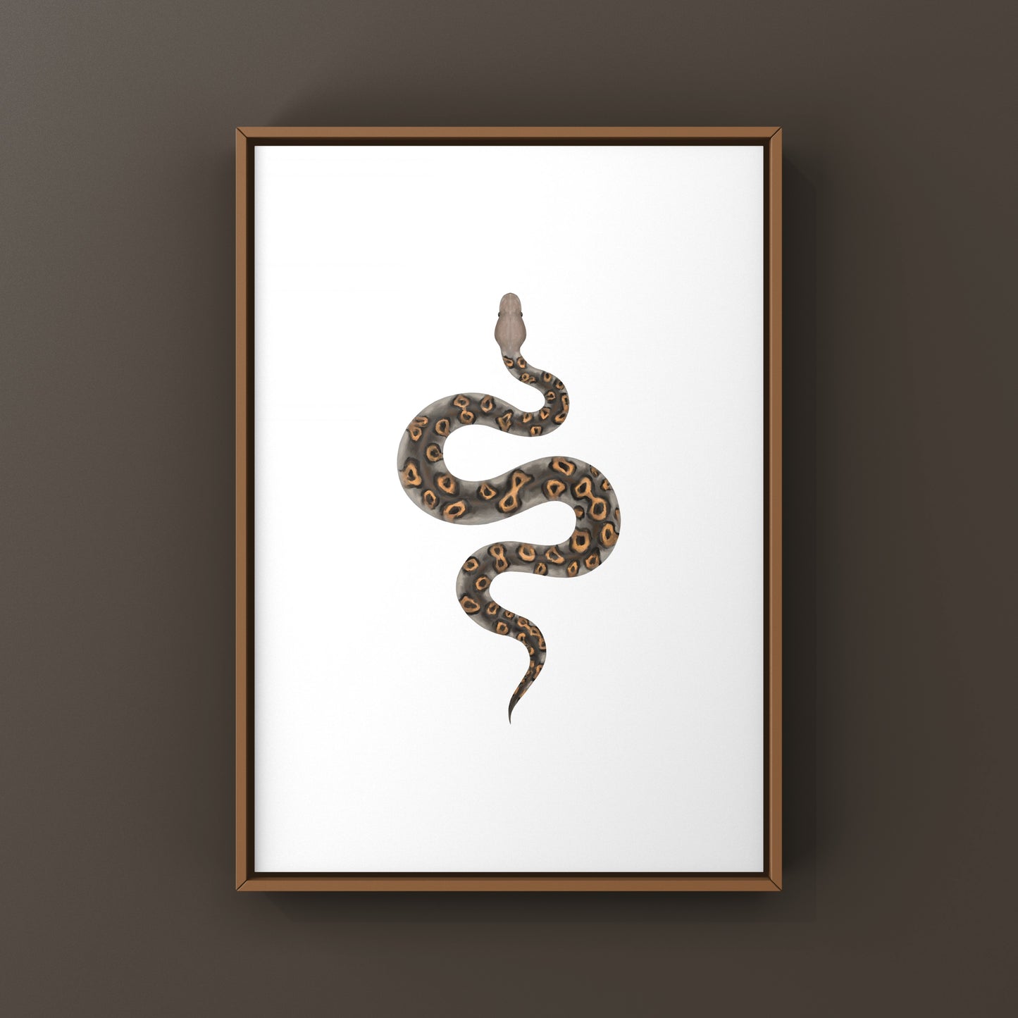 Kraken Ball Python Art Print from The Silk Ranch