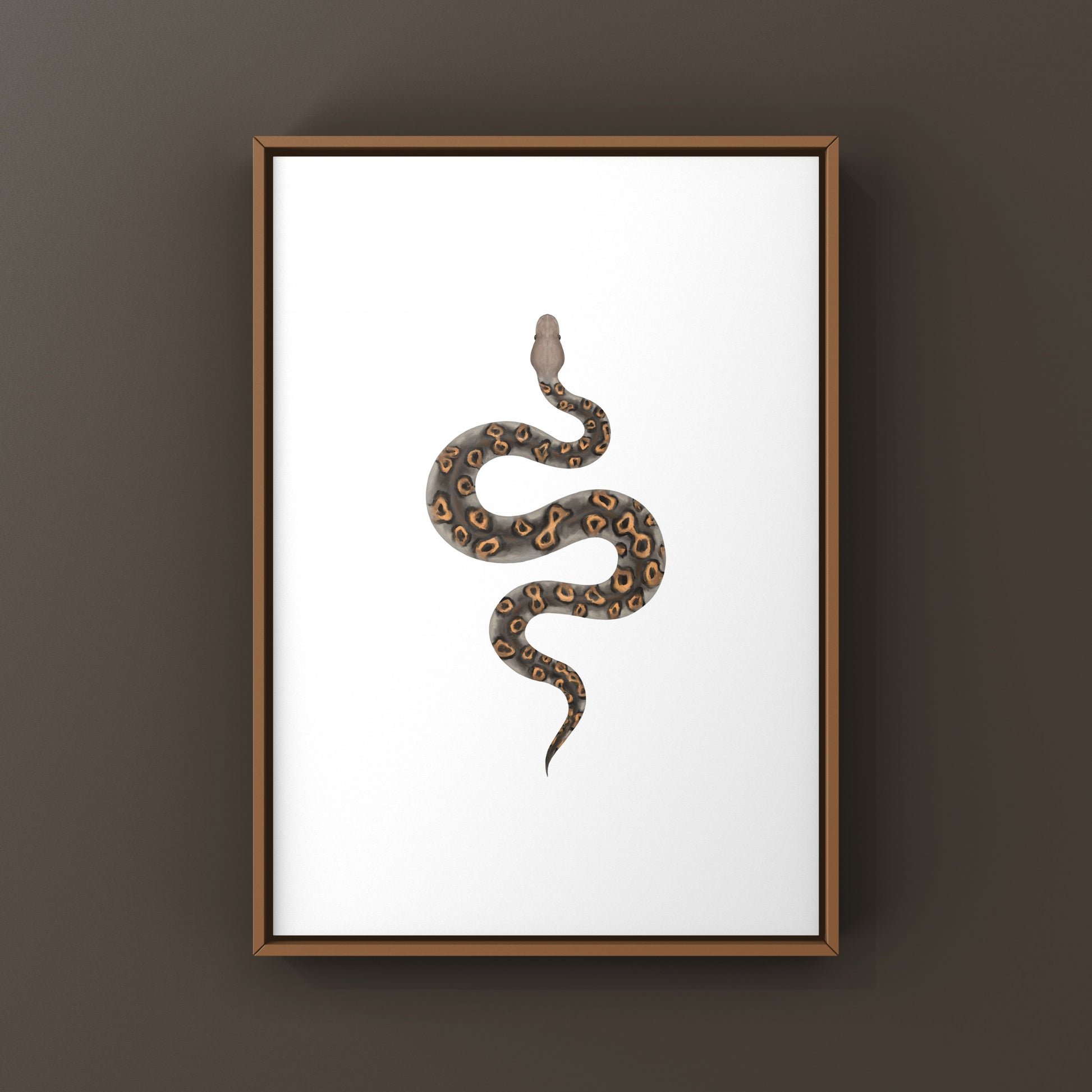 Kraken Ball Python Art Print from The Silk Ranch