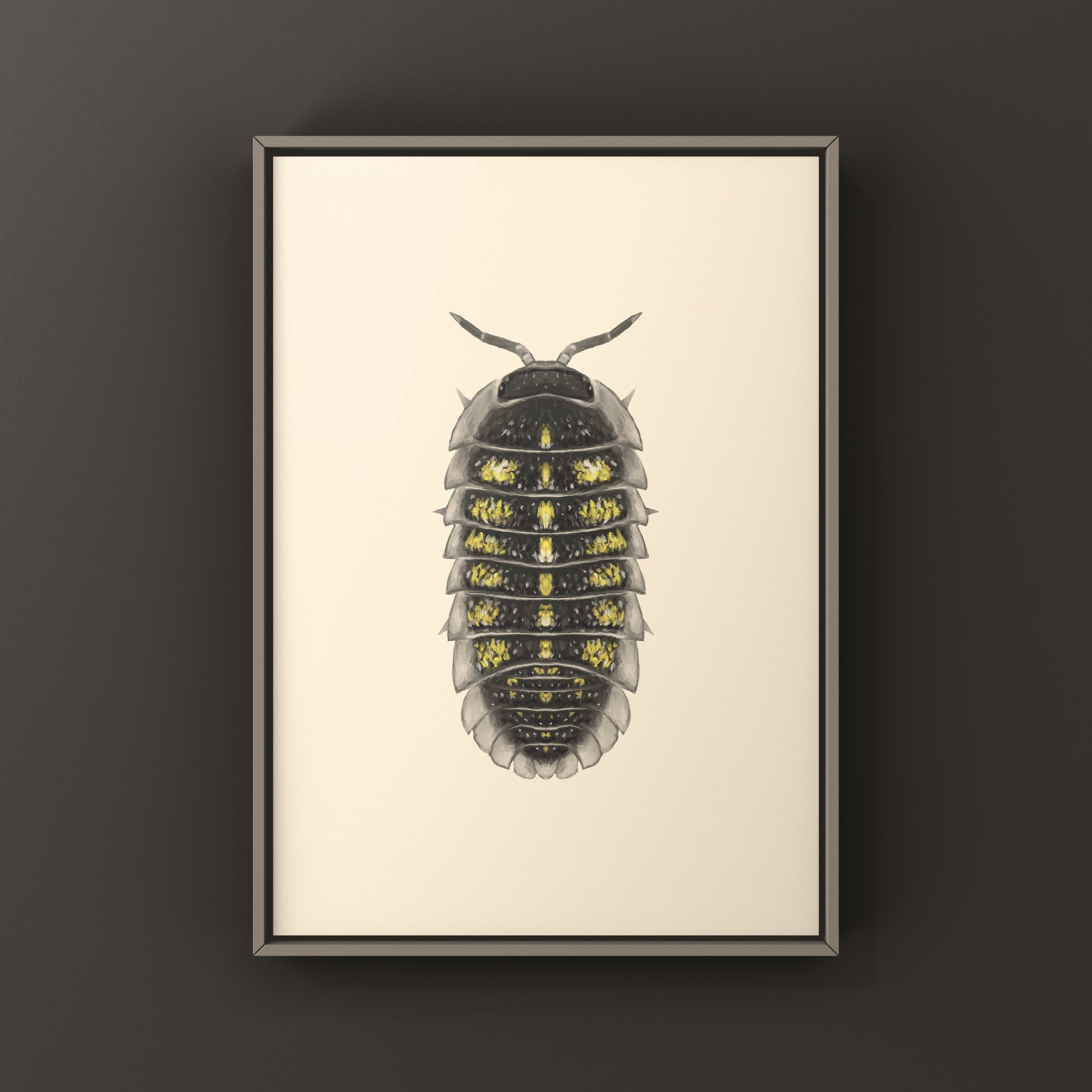 Detailed art print of a granulated isopod (Armadillidium granulatum) by The Silk Ranch, showcasing its textured exoskeleton.