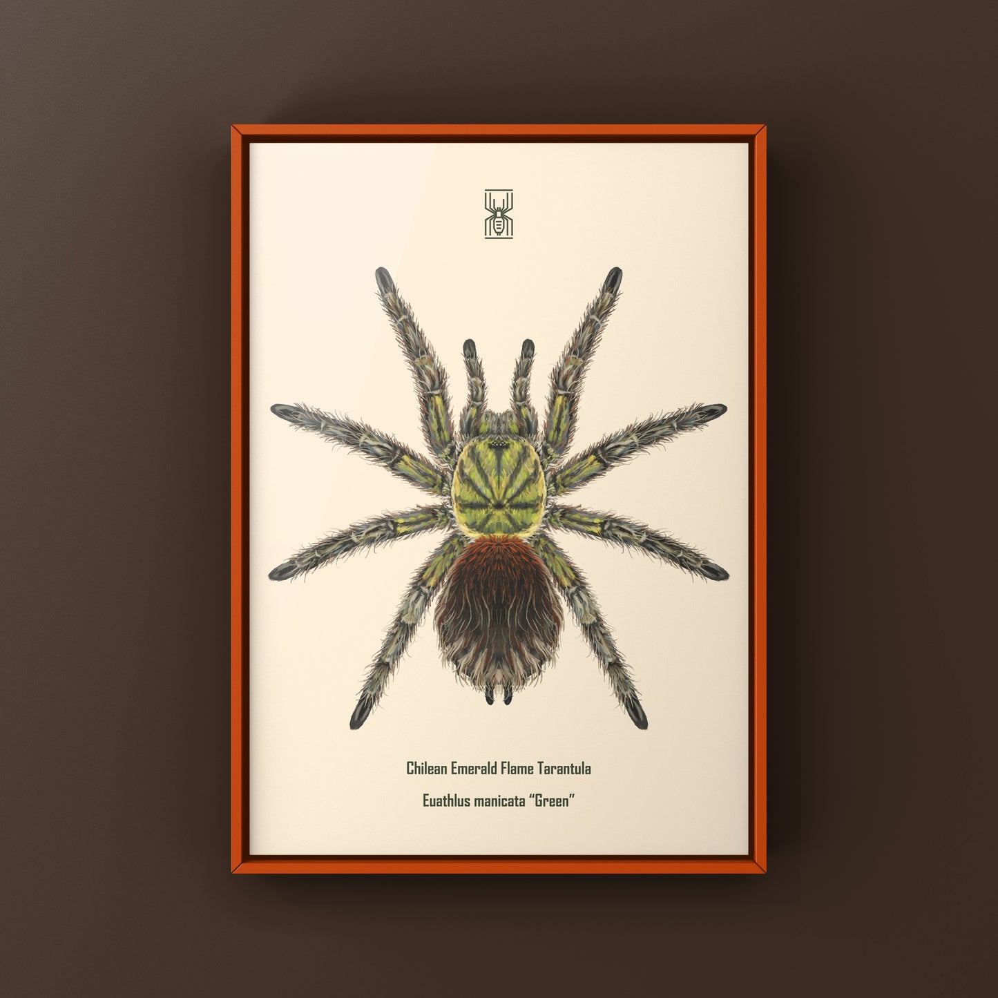 Chilean Emerald Flame Tarantula art print showing a vibrant green Euathlus manicata spider on a neutral background