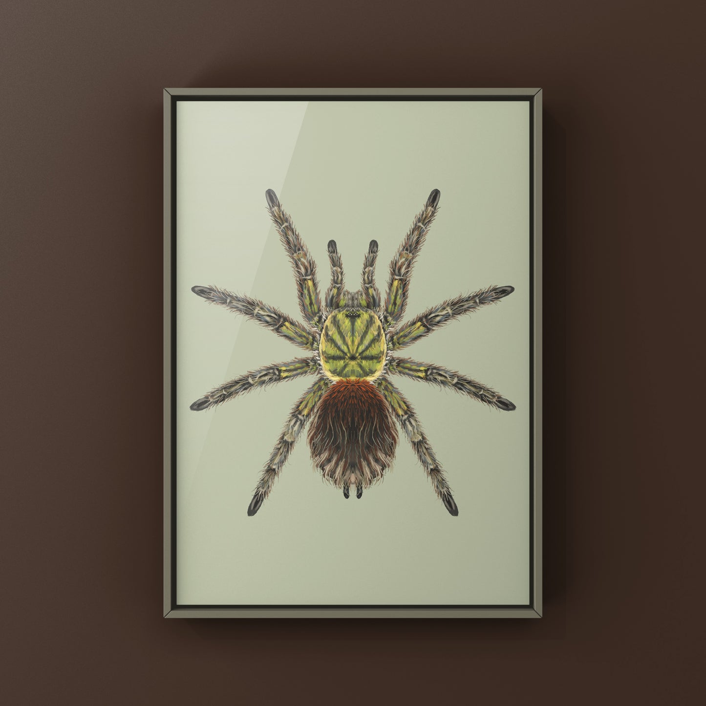 Chilean Emerald Flame Tarantula art print featuring a green Euathlus manicata tarantula on textured paper by The Silk Ranch.
