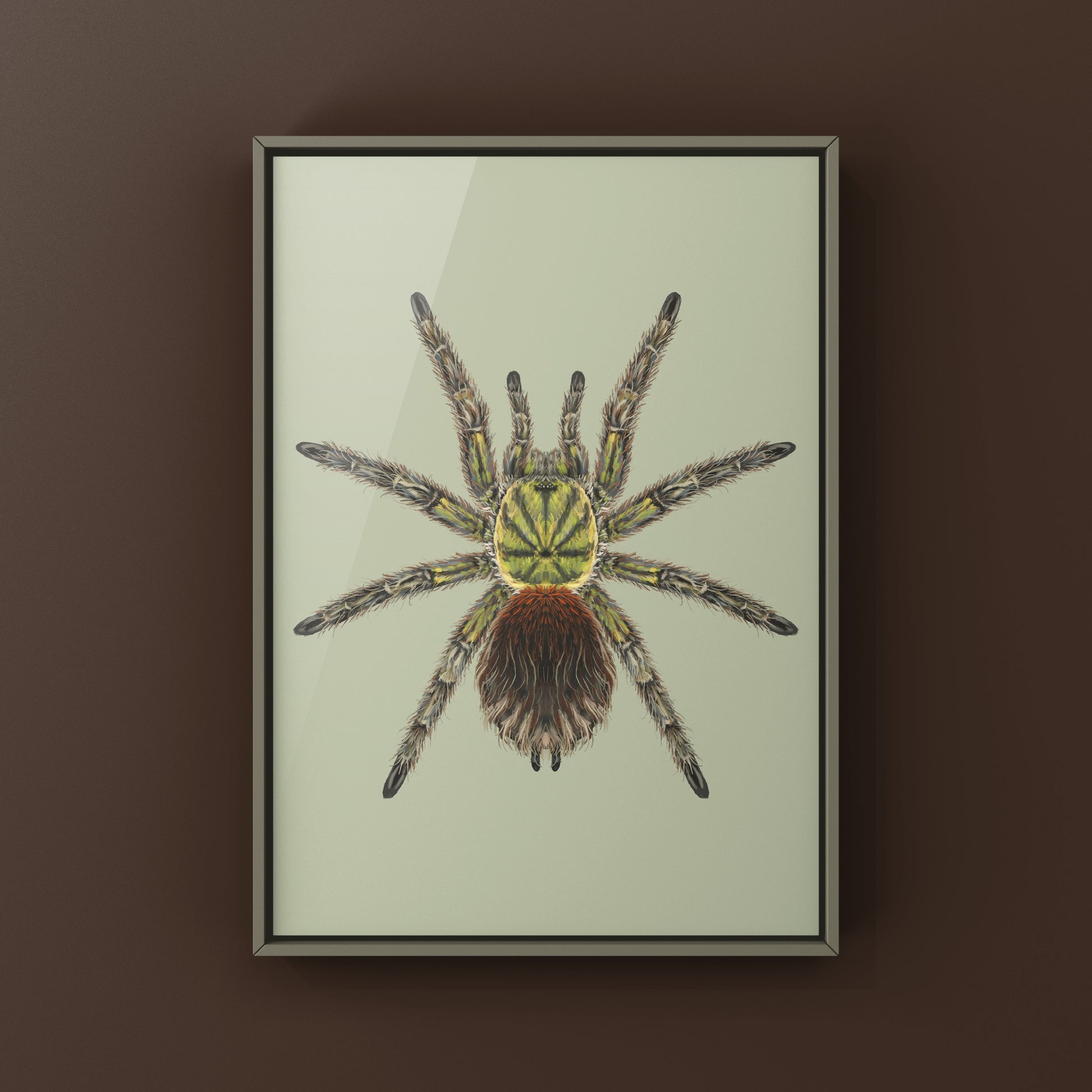 Chilean Emerald Flame Tarantula art print featuring a green Euathlus manicata tarantula on textured paper by The Silk Ranch.