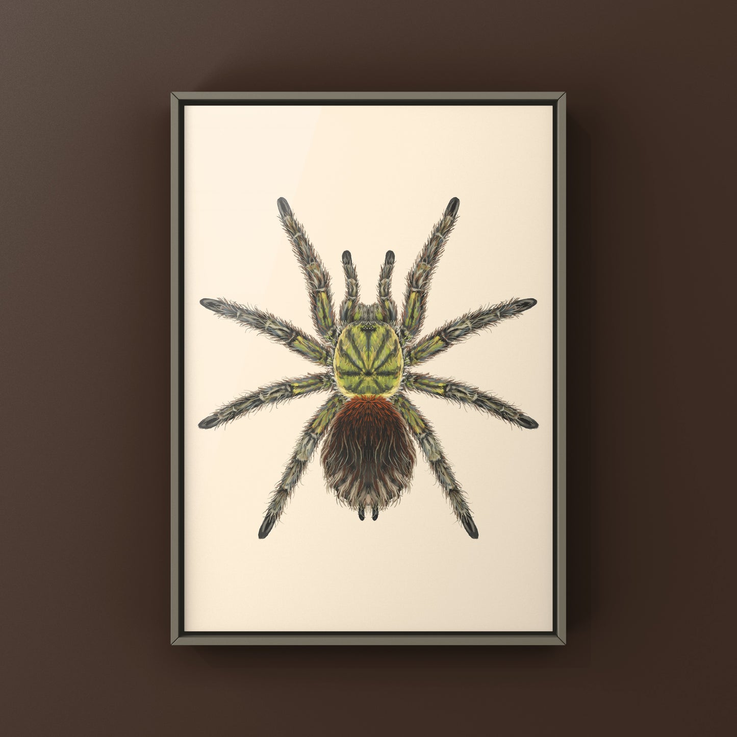 Chilean Emerald Flame Tarantula art print by The Silk Ranch, featuring vibrant green Euathlus manicata spider illustration on white background.