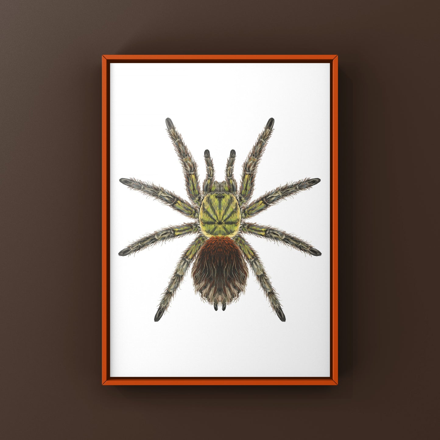 Chilean Emerald Flame Tarantula art print featuring a green Euathlus manicata spider on textured background.