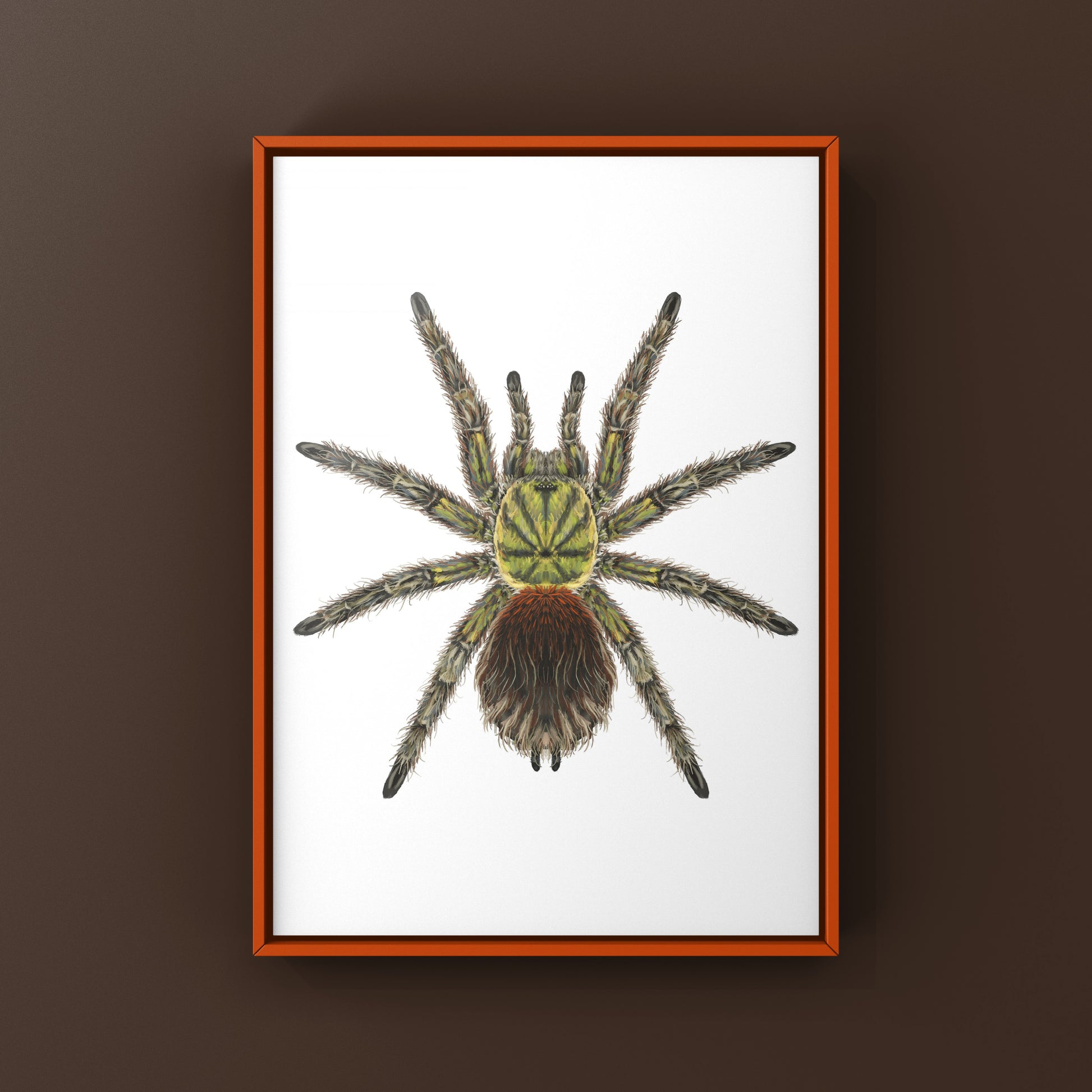 Chilean Emerald Flame Tarantula art print featuring a green Euathlus manicata spider on textured background.