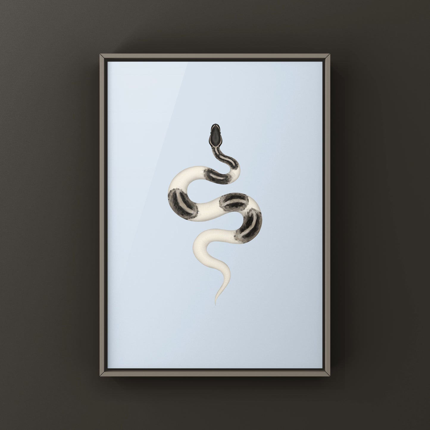 Axanthic Pied Ball Python Art Print from The Silk Ranch