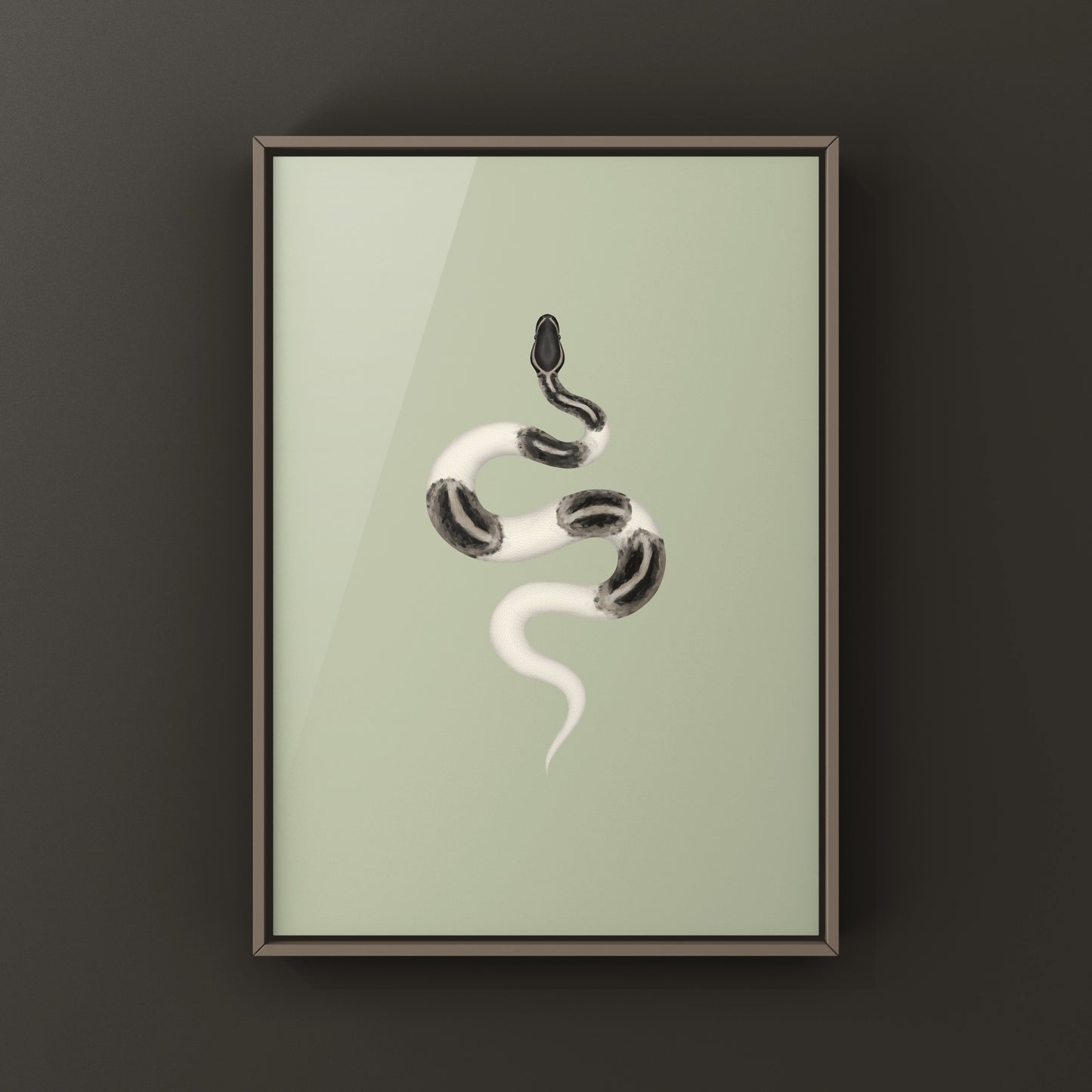 Axanthic Pied Ball Python Art Print from The Silk Ranch