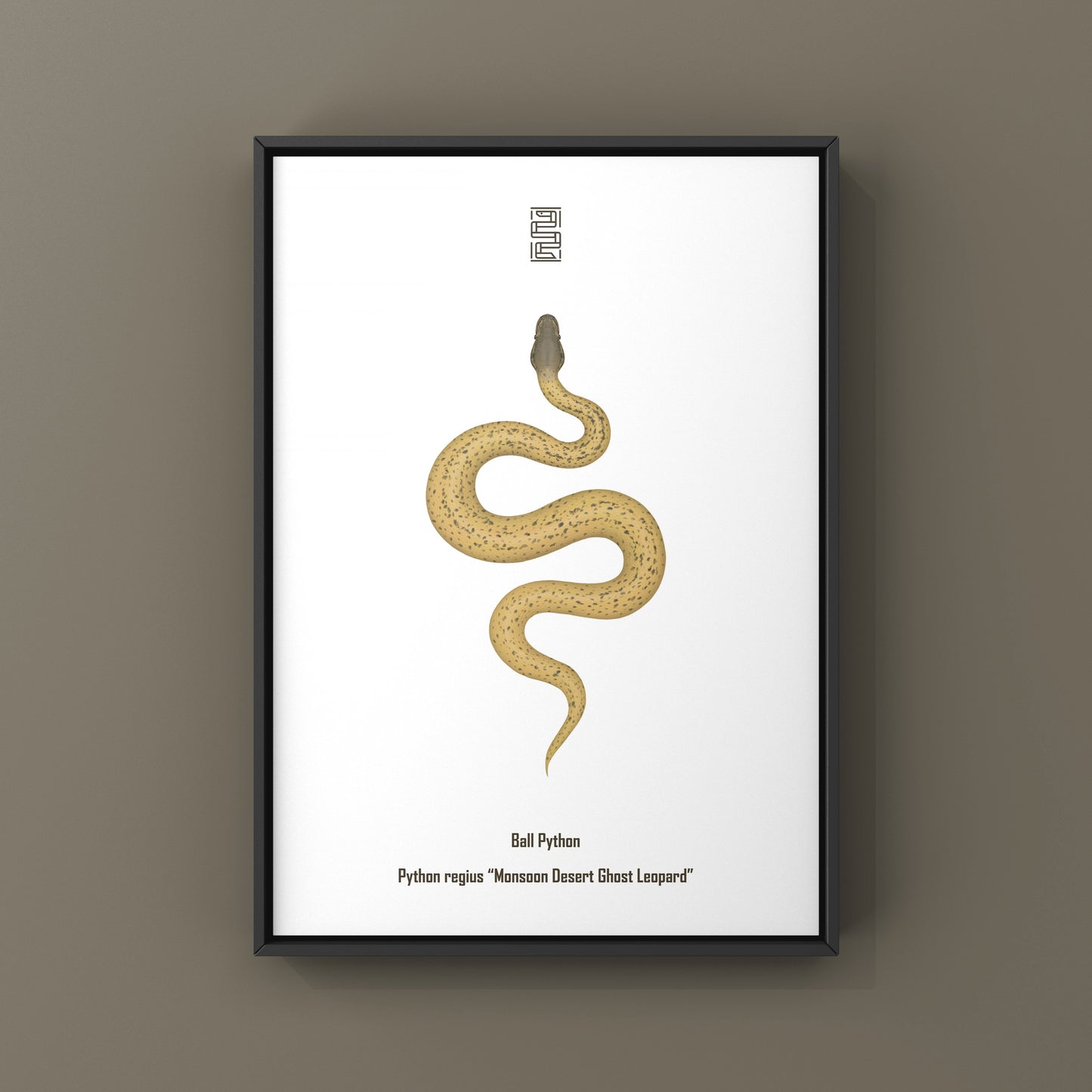 Monsoon Desert Ghost Leopard Ball Python art print by The Silk Ranch, showcasing detailed python illustrations on high-quality paper.