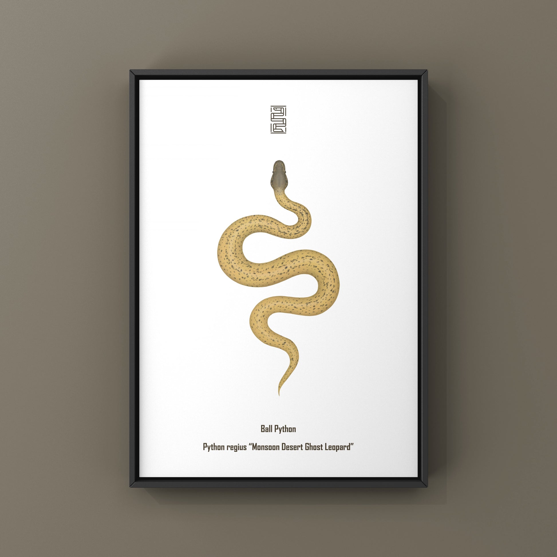 Monsoon Desert Ghost Leopard Ball Python art print by The Silk Ranch, showcasing detailed python illustrations on high-quality paper.