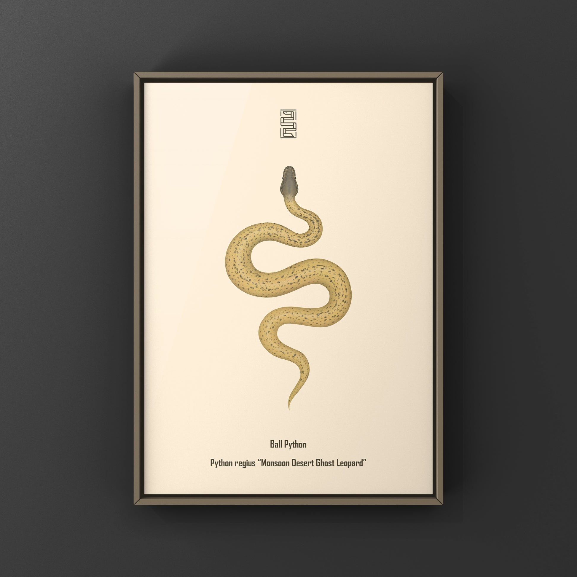 Monsoon Desert Ghost Leopard Ball Python art print featuring detailed snake illustration by The Silk Ranch.