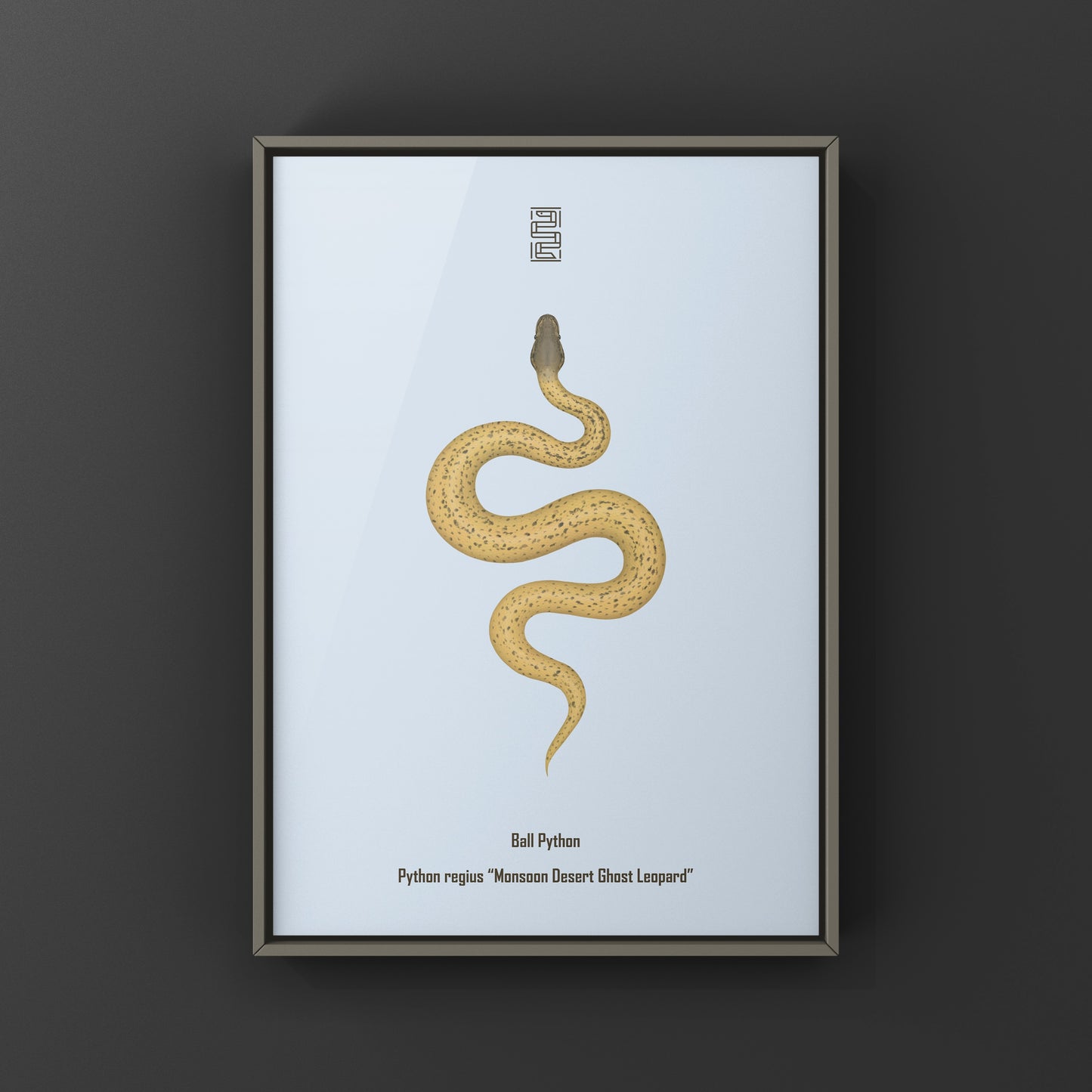 Monsoon Desert Ghost Leopard Ball Python art print from The Silk Ranch, featuring detailed snake illustration with desert-inspired colors.
