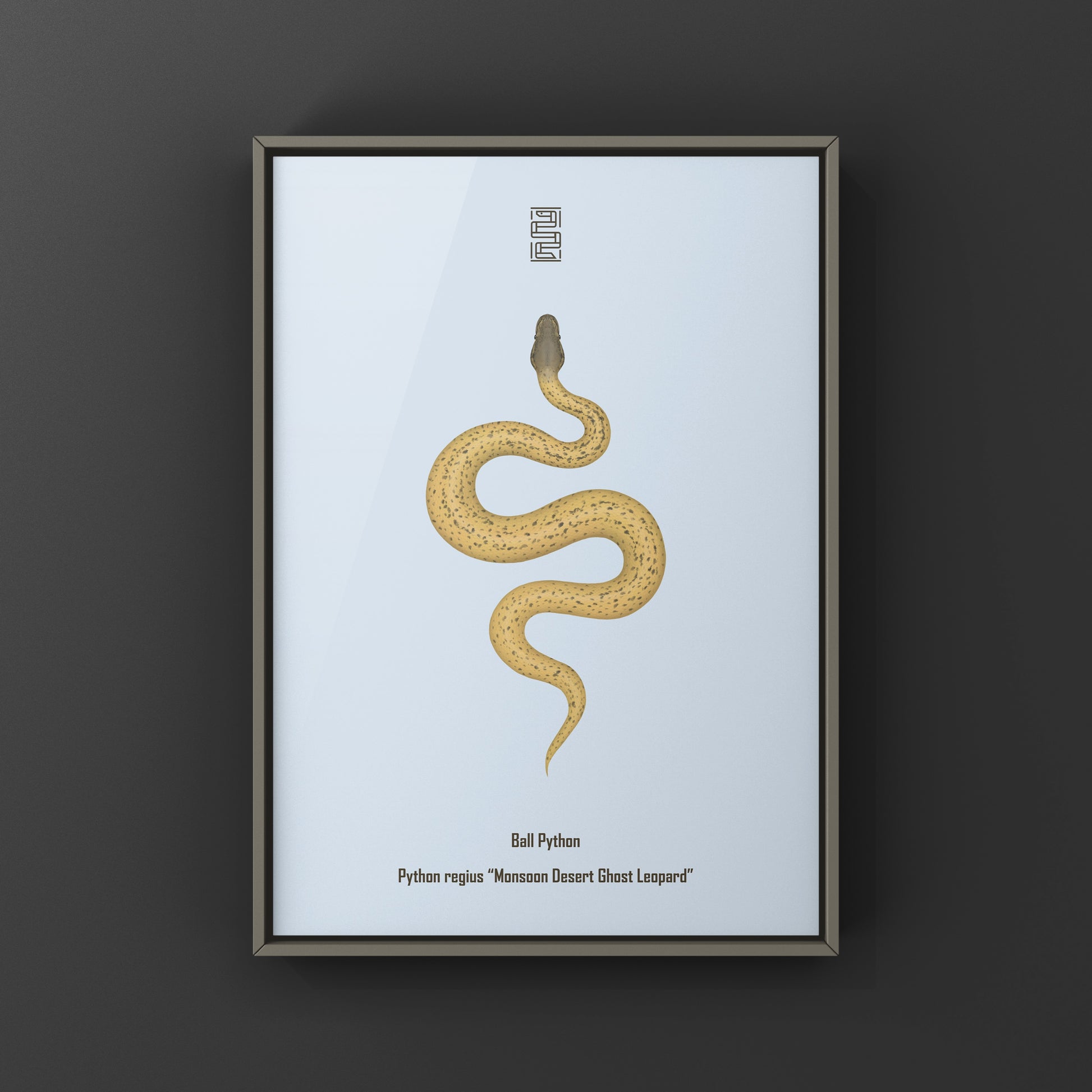 Monsoon Desert Ghost Leopard Ball Python art print from The Silk Ranch, featuring detailed snake illustration with desert-inspired colors.