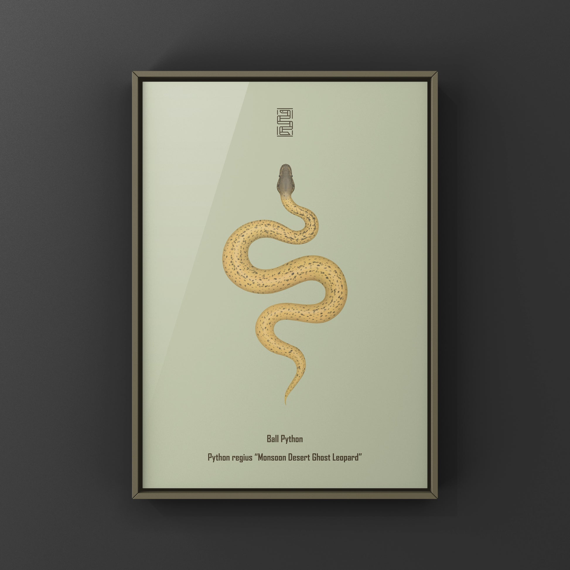 Monsoon Desert Ghost Leopard Ball Python art print by The Silk Ranch showing detailed snake illustration on paper.