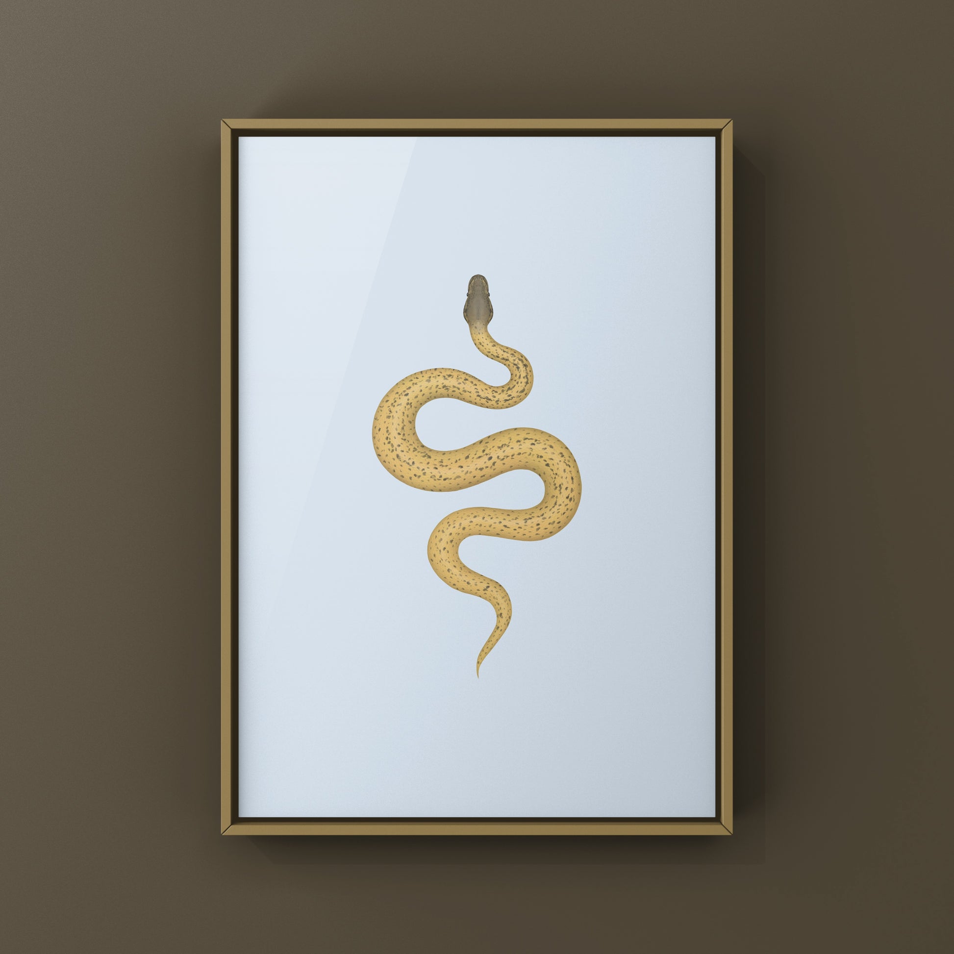 Monsoon Desert Ghost Leopard Ball Python art print by The Silk Ranch, featuring detailed snake illustration on high-quality paper.