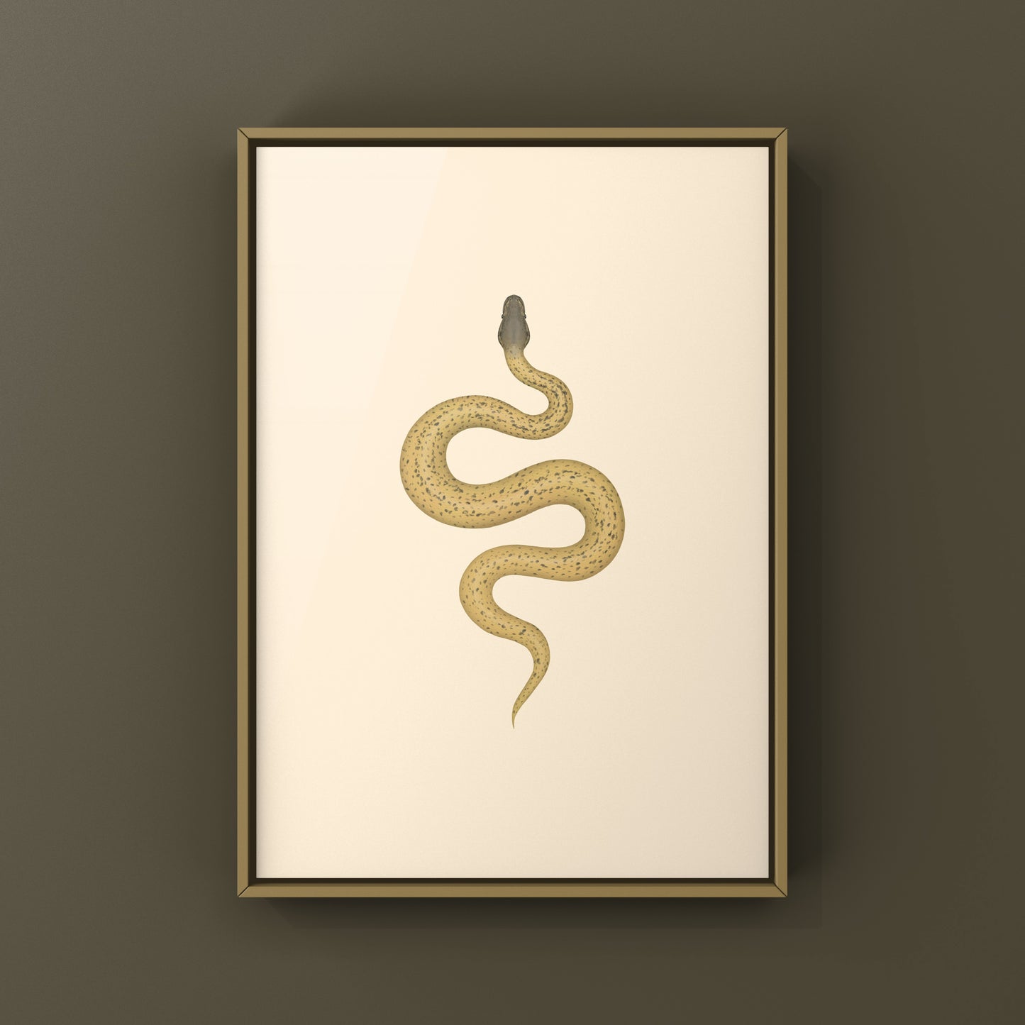 Monsoon Desert Ghost Leopard Ball Python art print by The Silk Ranch featuring a detailed illustration of a python snake.