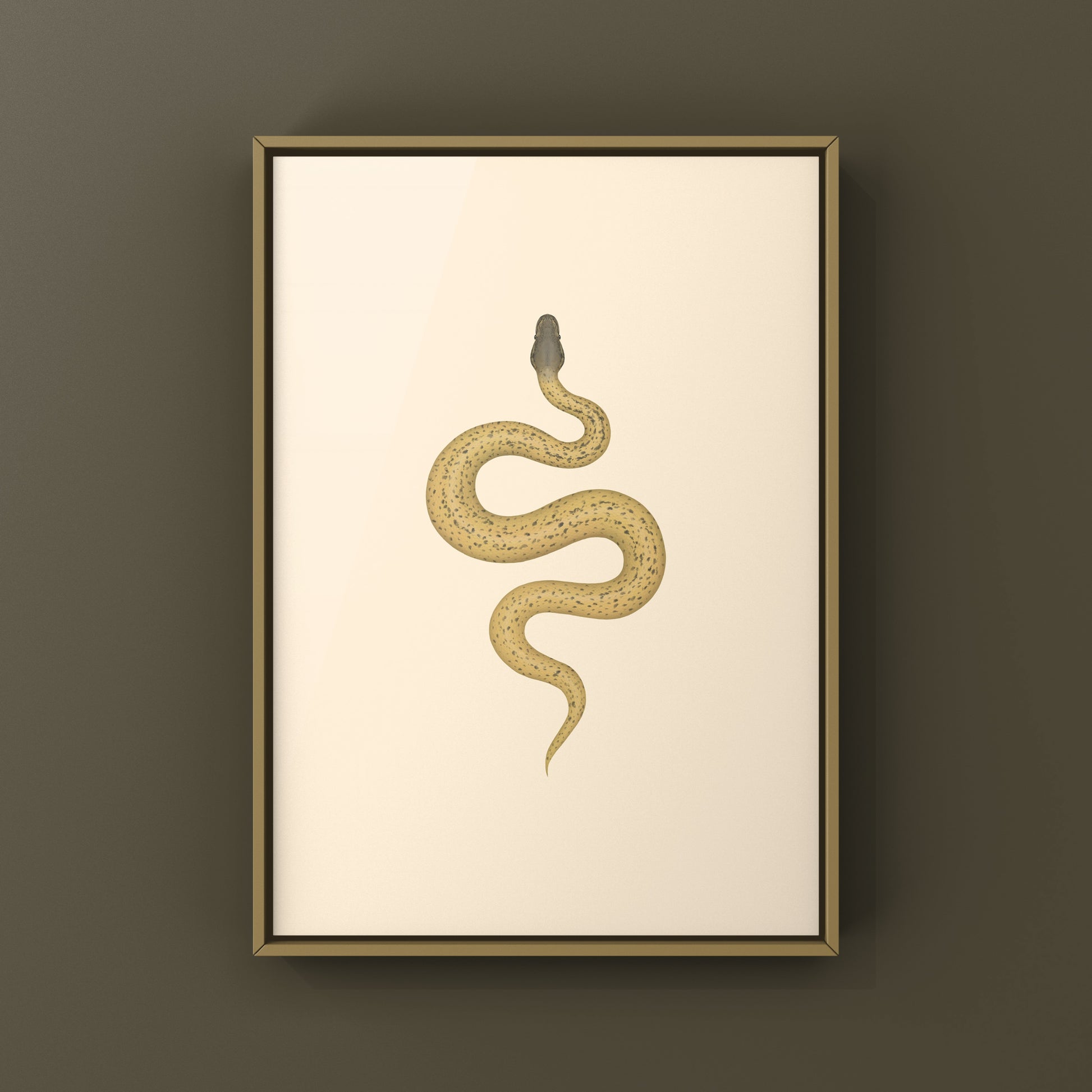 Monsoon Desert Ghost Leopard Ball Python art print by The Silk Ranch featuring a detailed illustration of a python snake.