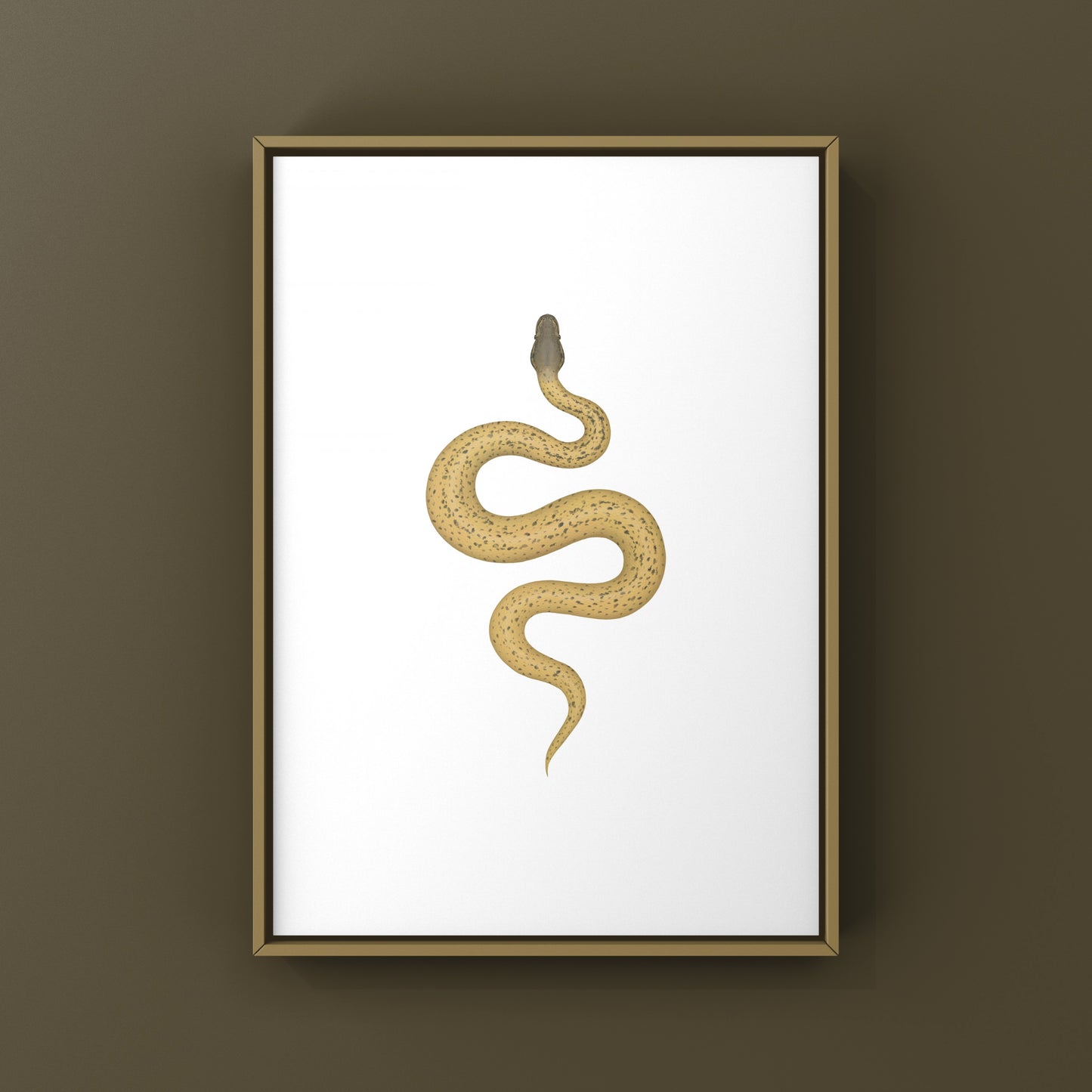 Monsoon Desert Ghost Leopard Ball Python art print by The Silk Ranch featuring detailed snake illustrations.