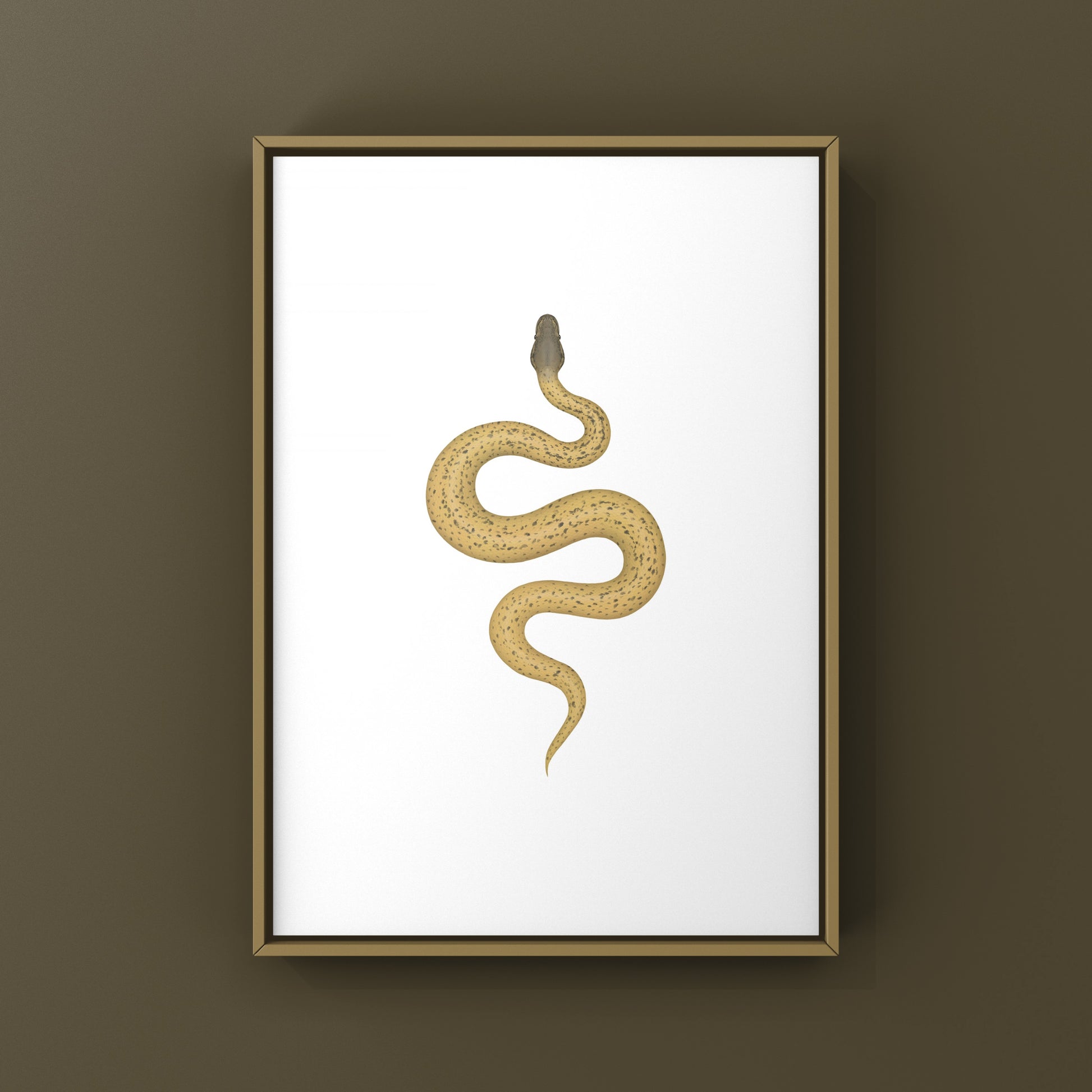 Monsoon Desert Ghost Leopard Ball Python art print by The Silk Ranch featuring detailed snake illustrations.