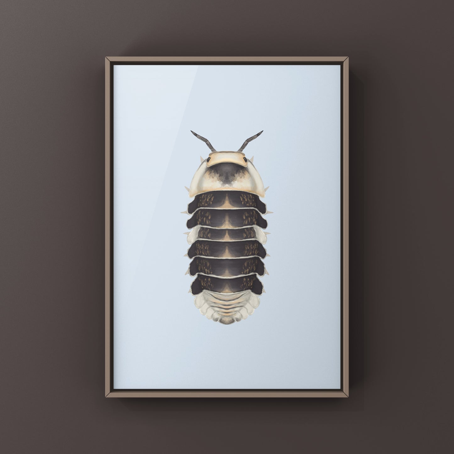 White Ducky Cubaris isopod art print featuring detailed illustration of the white isopod species on a clean background.