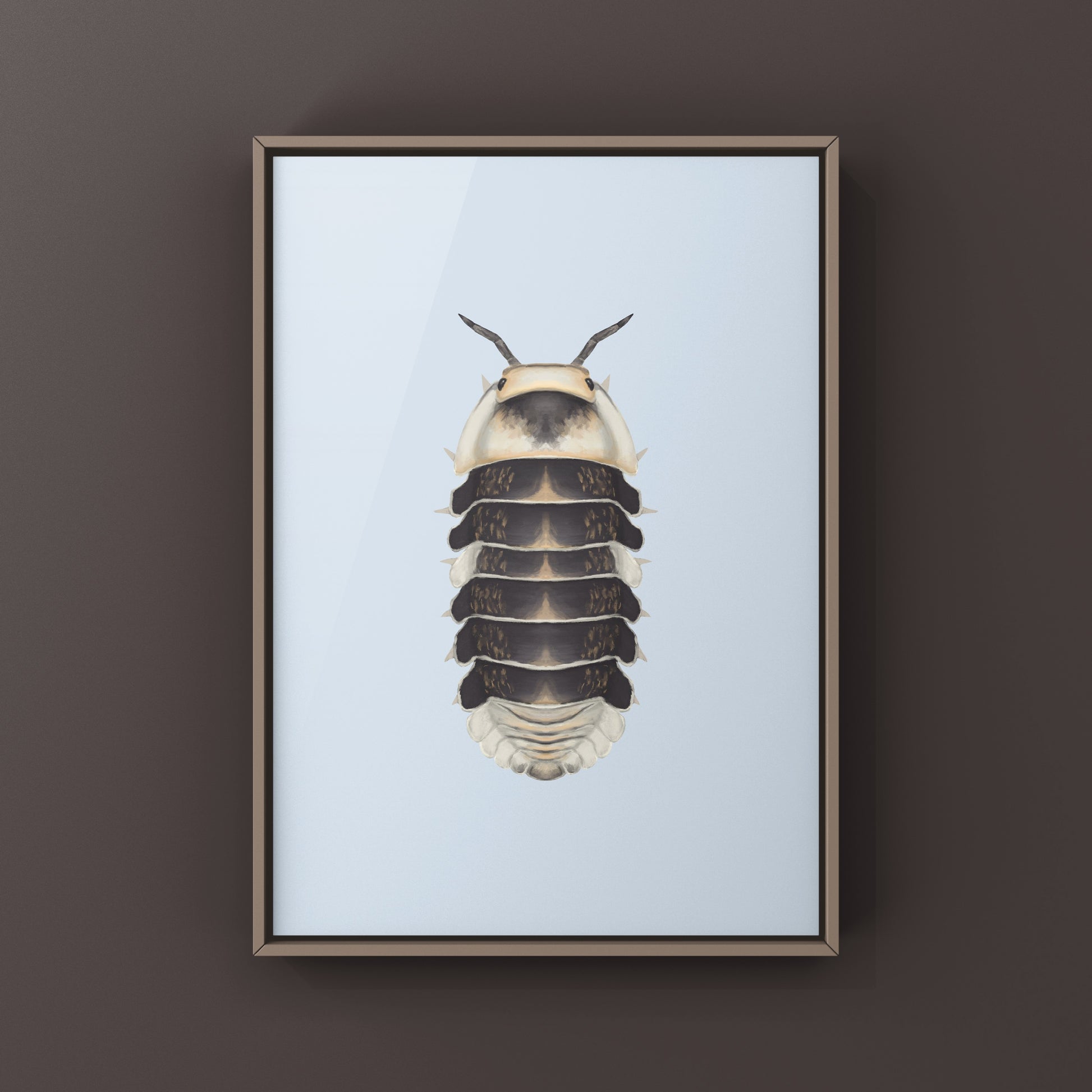 White Ducky Cubaris isopod art print featuring detailed illustration of the white isopod species on a clean background.