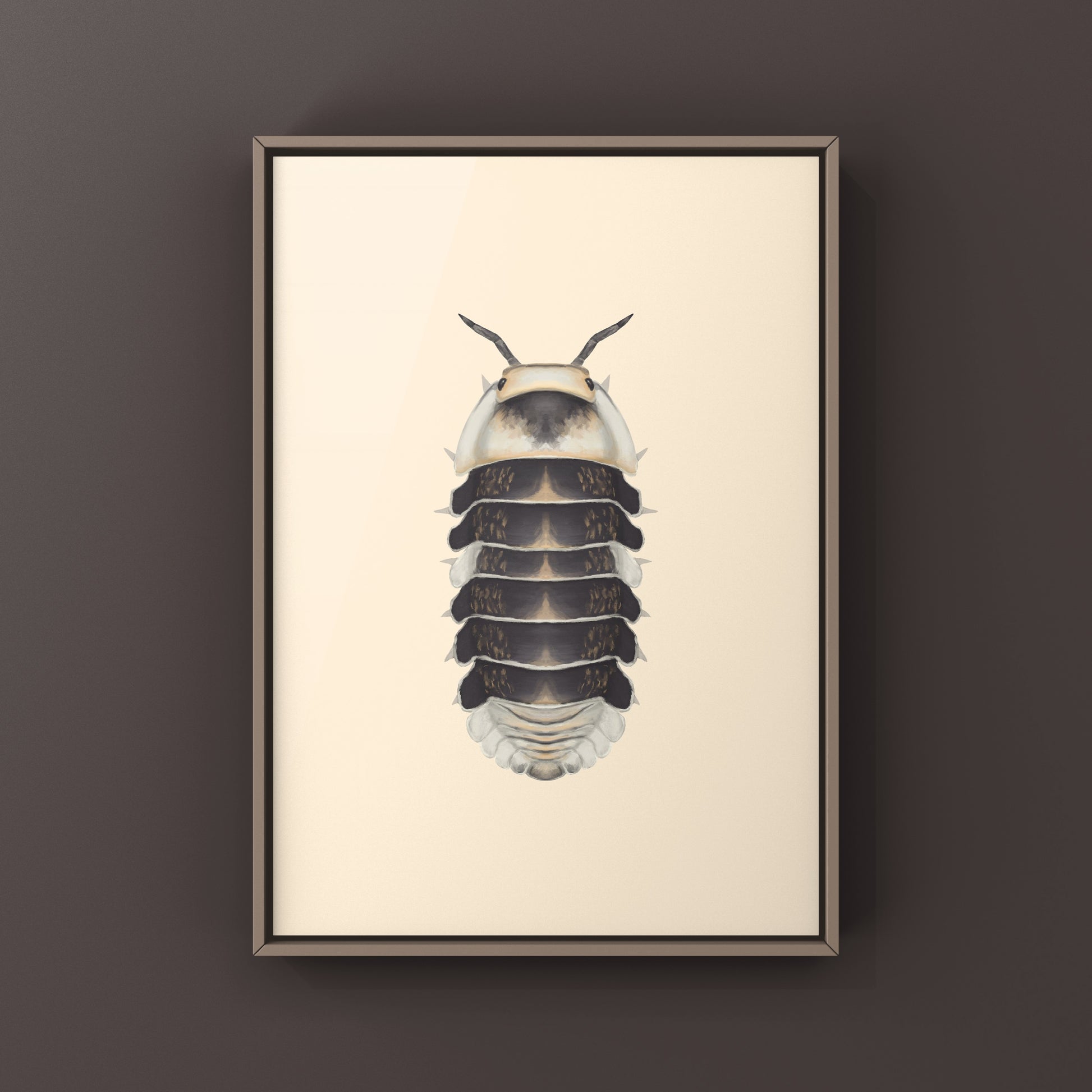 White Ducky Isopod art print featuring a Cubaris sp. White Ducky on a neutral background, showcasing intricate details and textures.