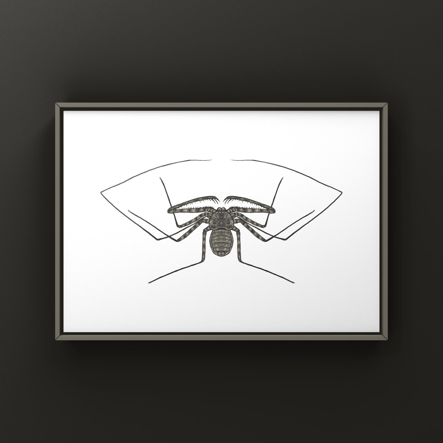 Tanzanian Giant Tailless Whip Scorpion Damon diadema art print featuring detailed illustrations of this arachnid species.