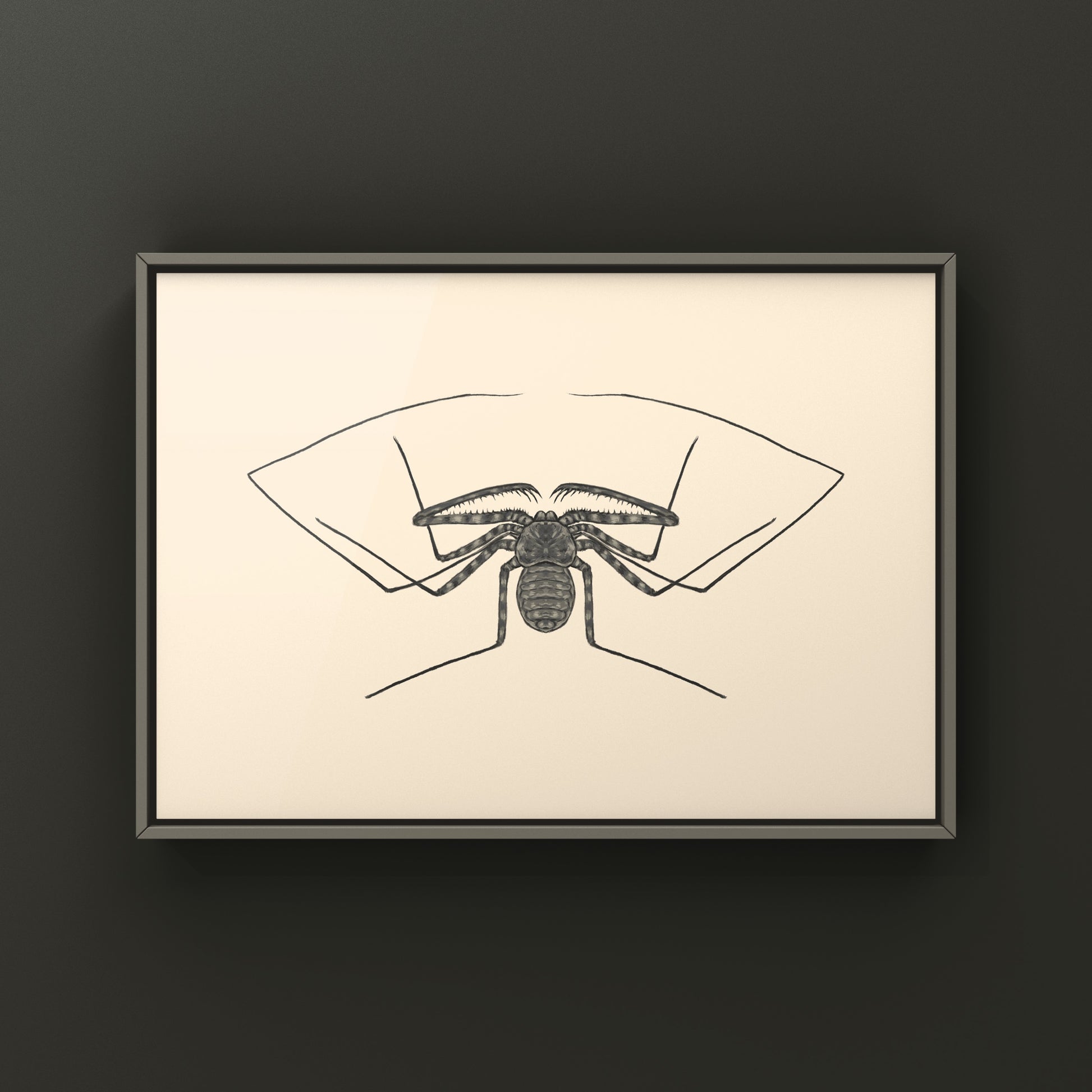 Tanzanian giant tailless whip scorpion art print featuring detailed illustration of Damon diadema by The Silk Ranch.