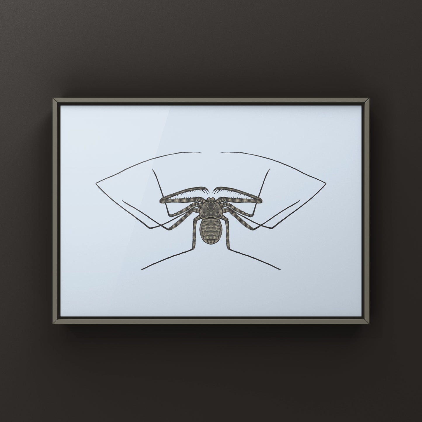 Tanzanian Giant Tailless Whip Scorpion Damon diadema art print showing detailed illustration of the arachnid on textured paper