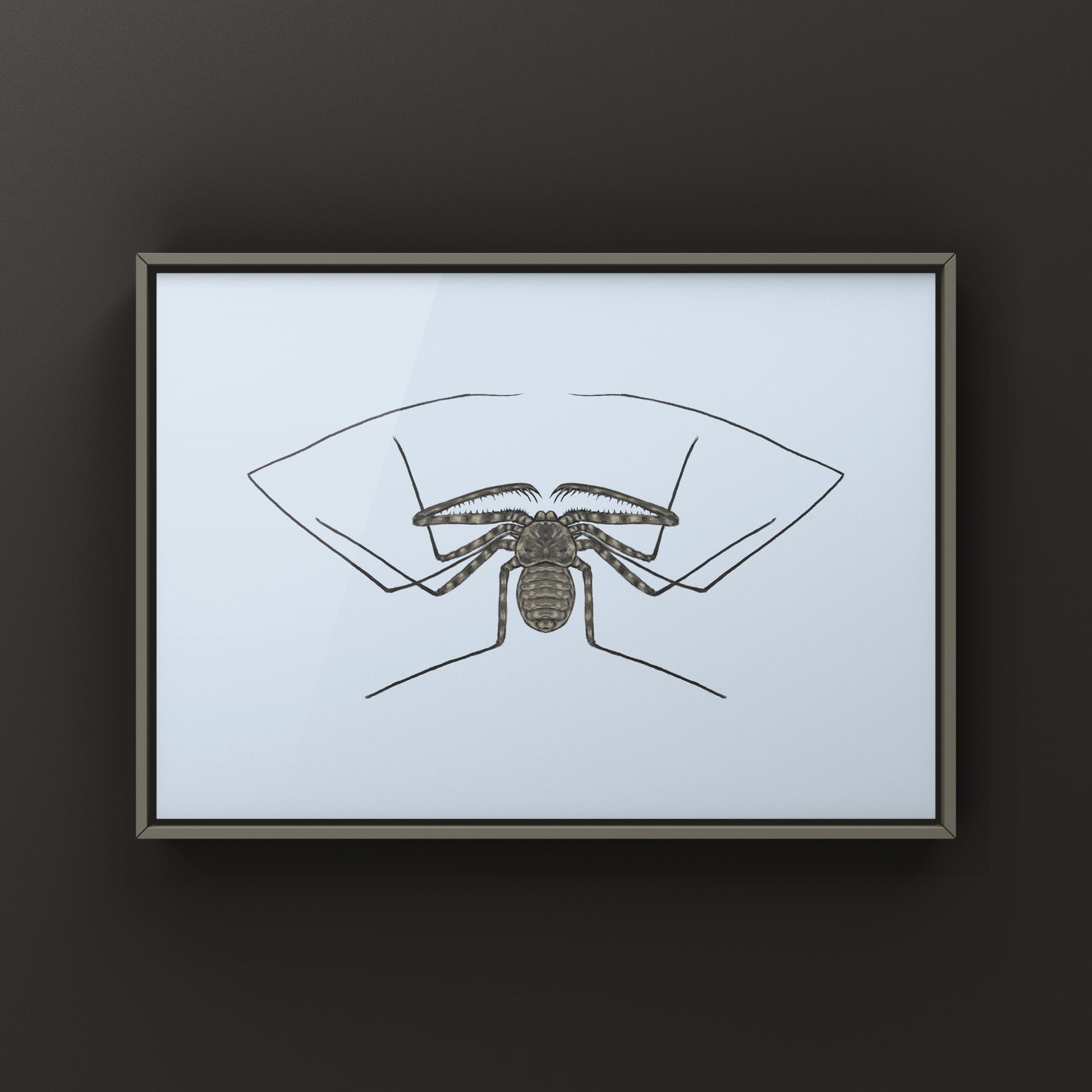 Tanzanian Giant Tailless Whip Scorpion Damon diadema art print showing detailed illustration of the arachnid on textured paper
