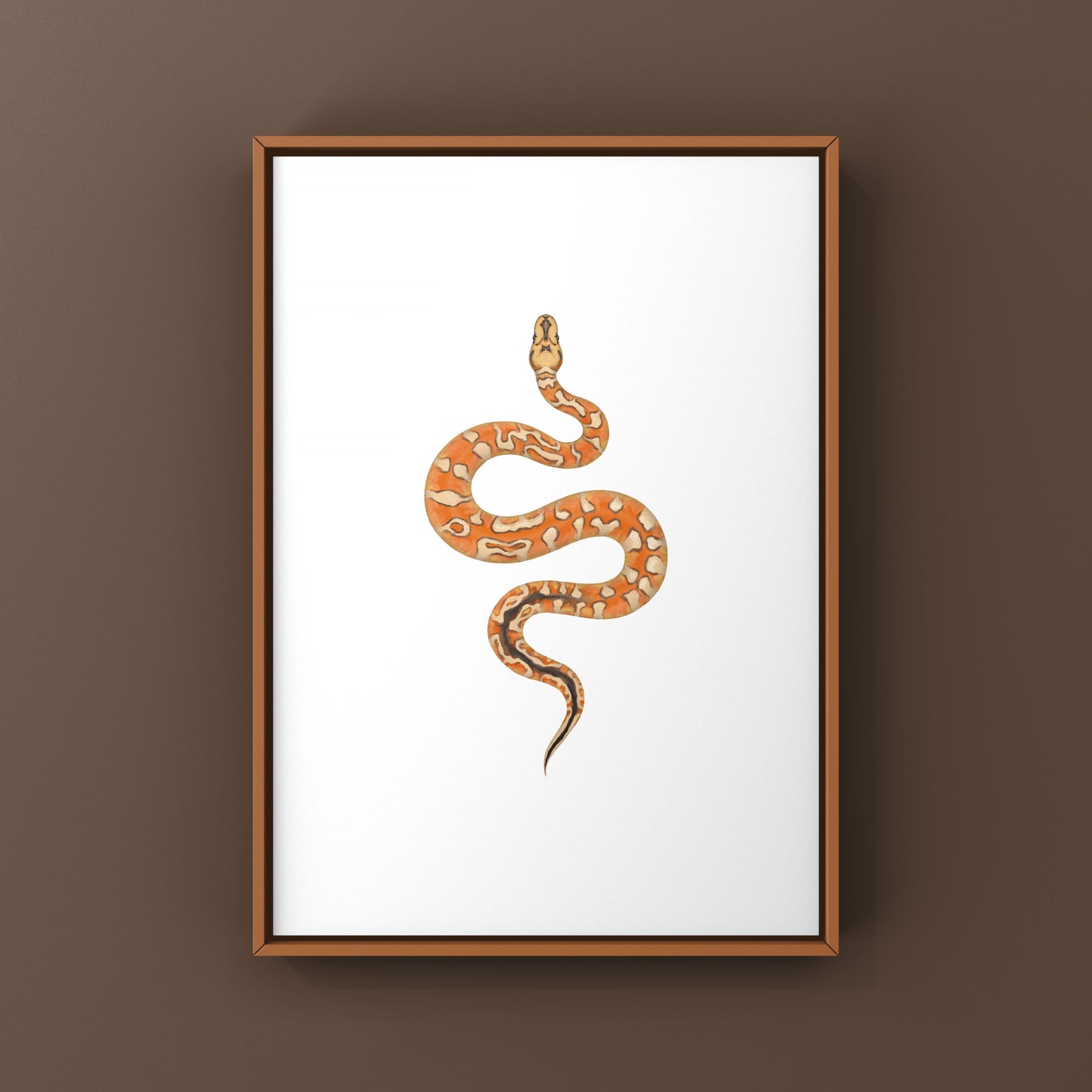 Colorful art print of a ball python featuring Enchi, Cypress, YB, and Special Clown patterns by The Silk Ranch.