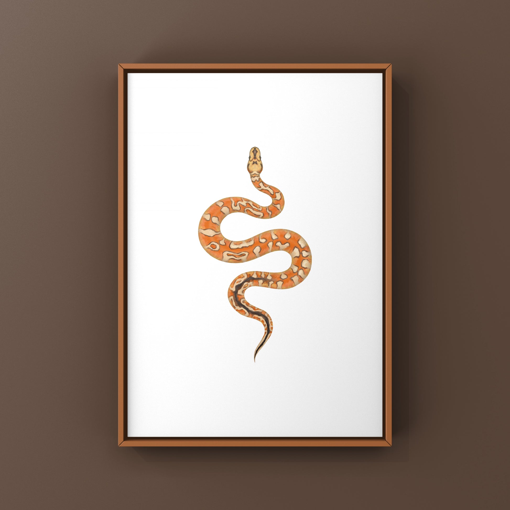 Colorful art print of a ball python featuring Enchi, Cypress, YB, and Special Clown patterns by The Silk Ranch.