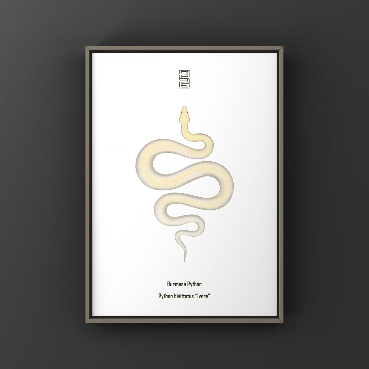 Ivory Burmese Python Art Print from The Silk Ranch
