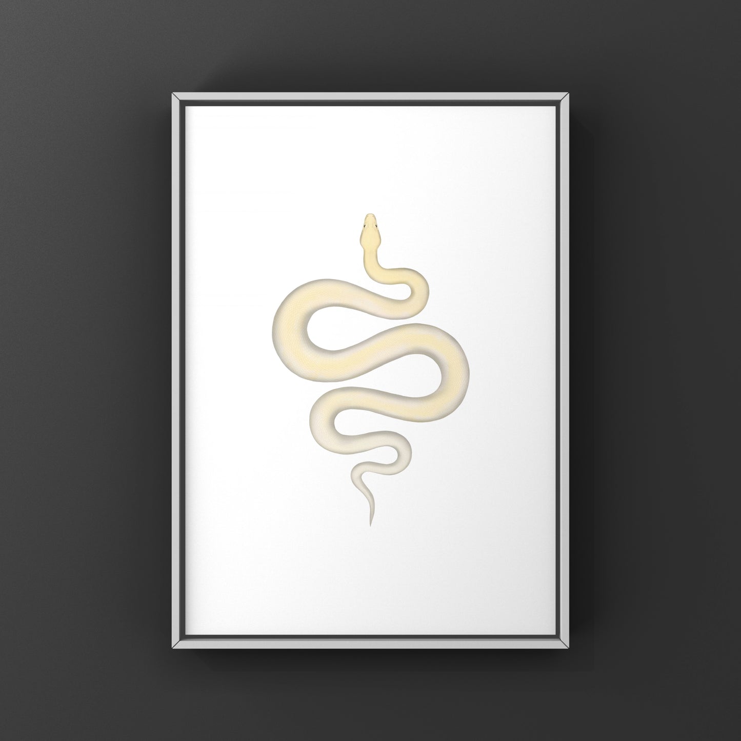 Ivory Burmese Python Art Print from The Silk Ranch