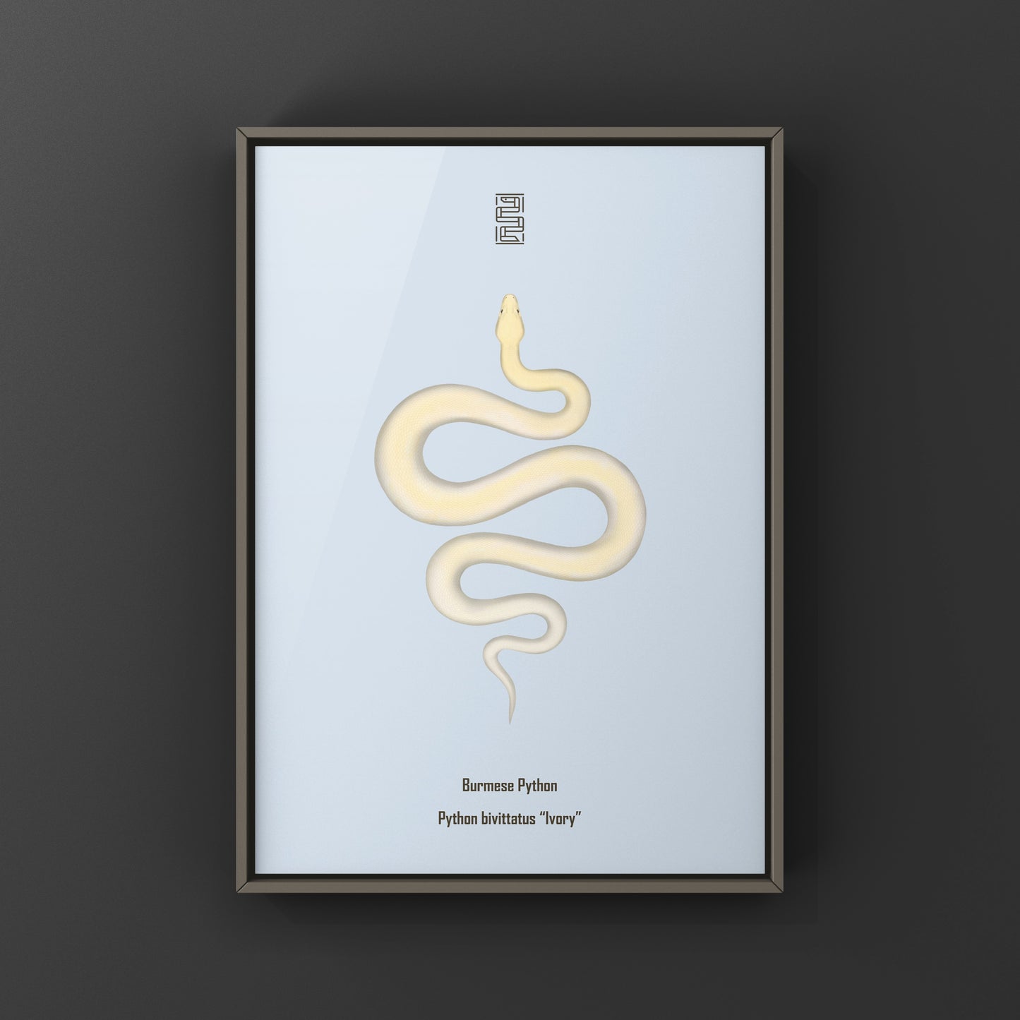 Ivory Burmese Python Art Print from The Silk Ranch