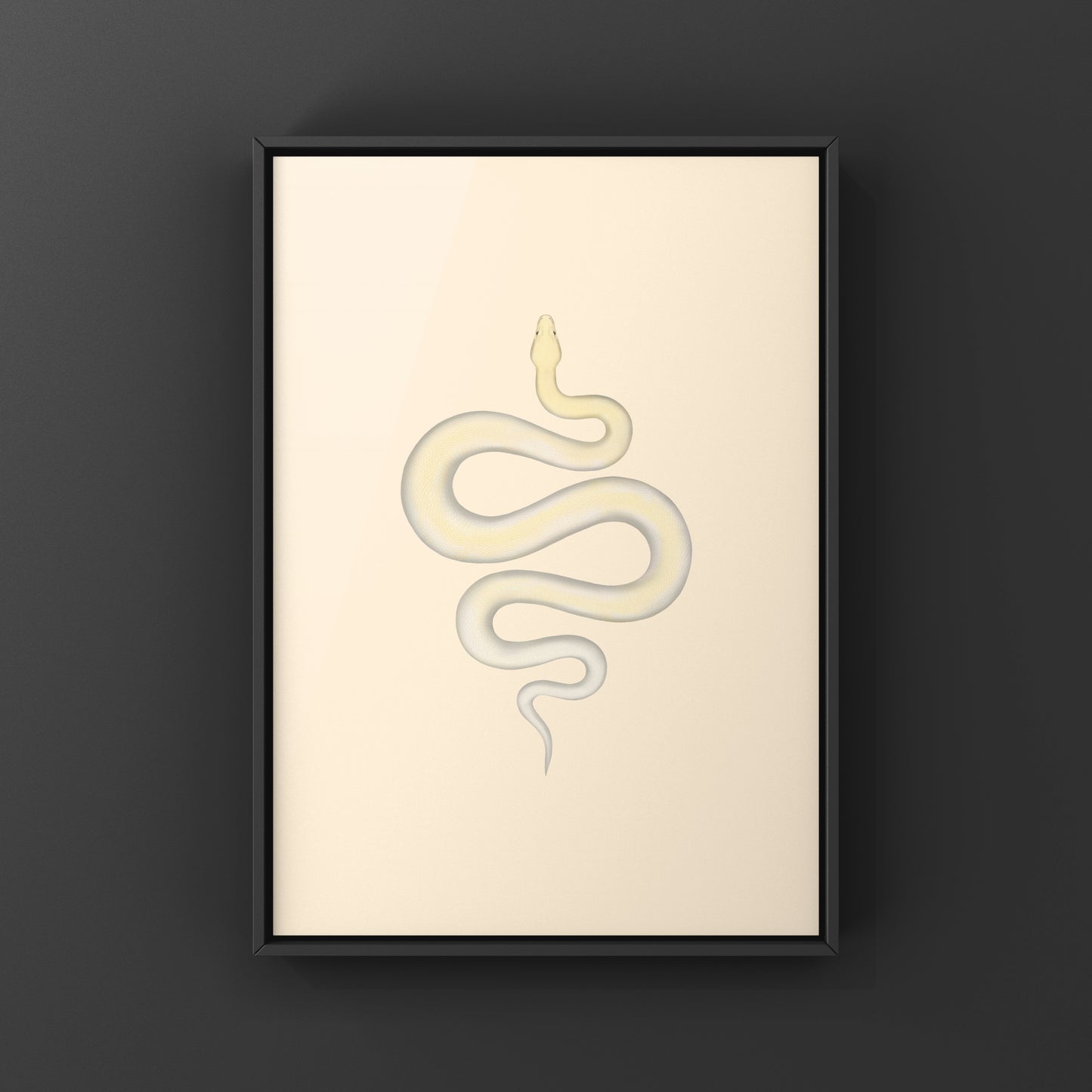 Ivory Burmese Python Art Print from The Silk Ranch
