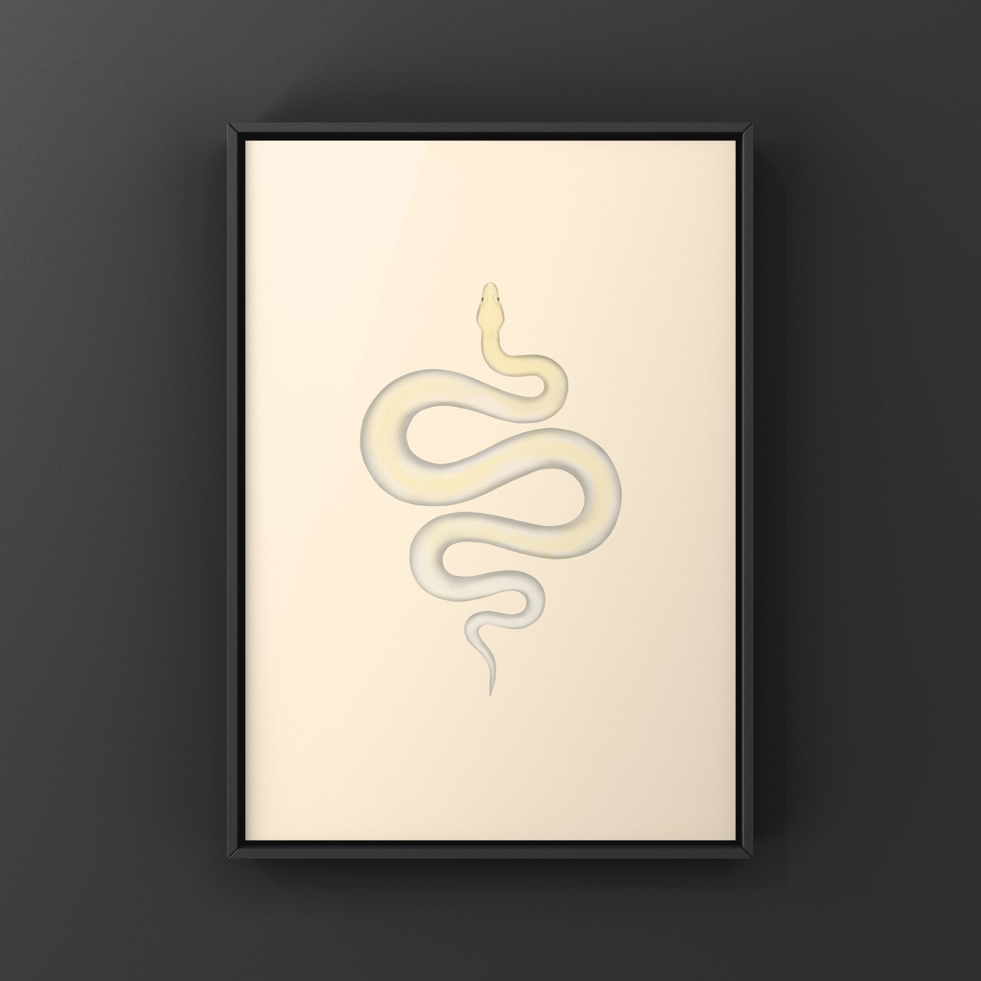 Ivory Burmese Python Art Print from The Silk Ranch