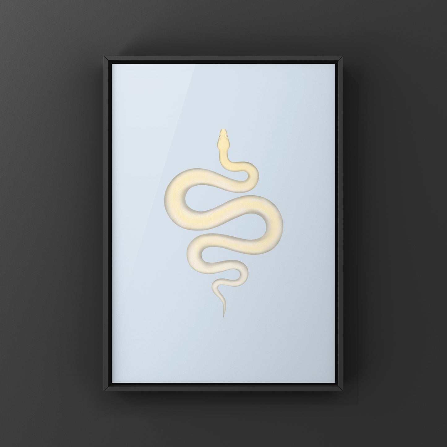 Ivory Burmese Python Art Print from The Silk Ranch