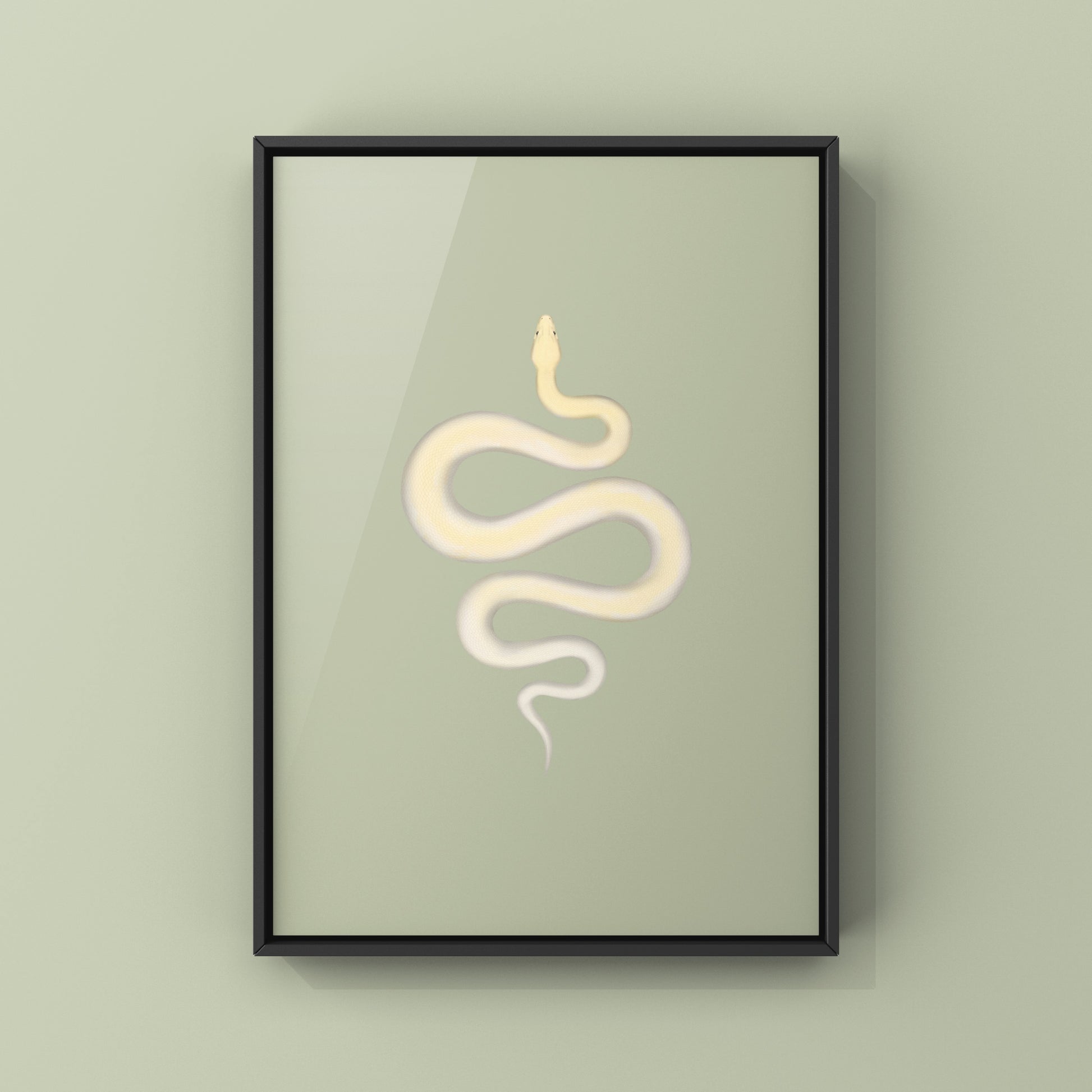 Ivory Burmese Python Art Print from The Silk Ranch