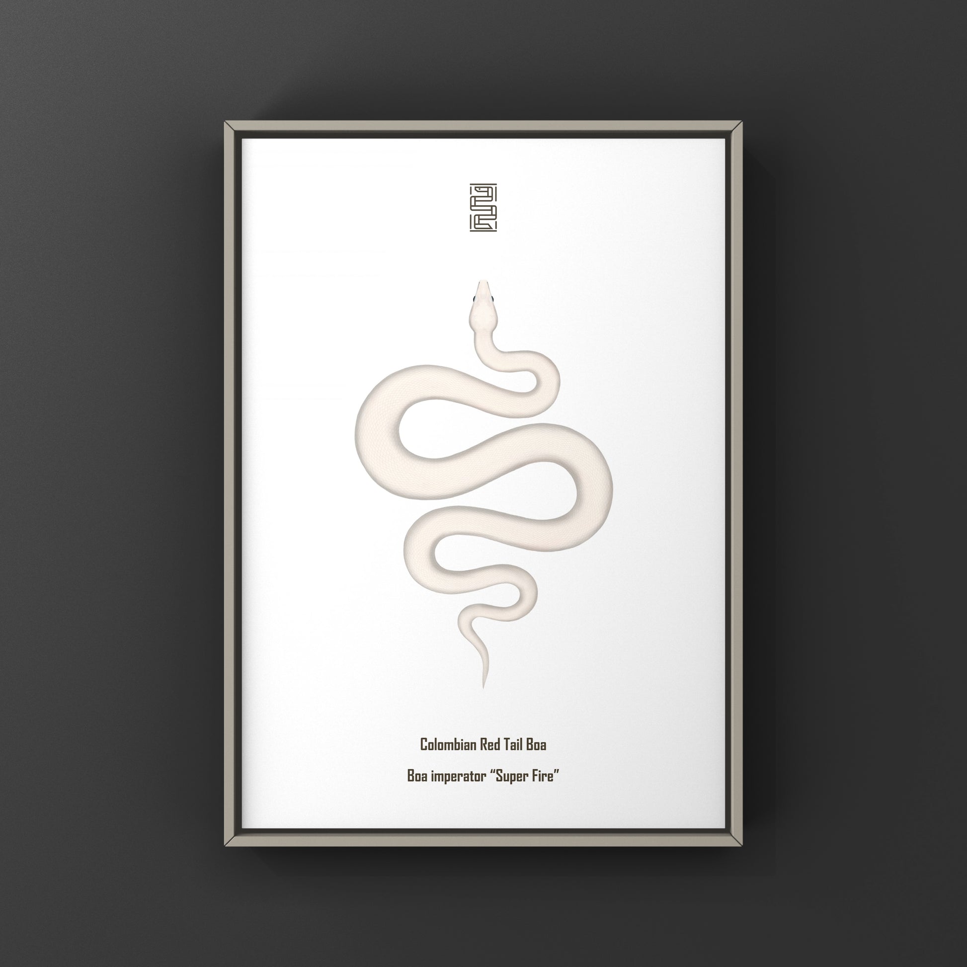 Colombian Red Tail Boa art print by The Silk Ranch showcasing vibrant snake artwork on a white background.