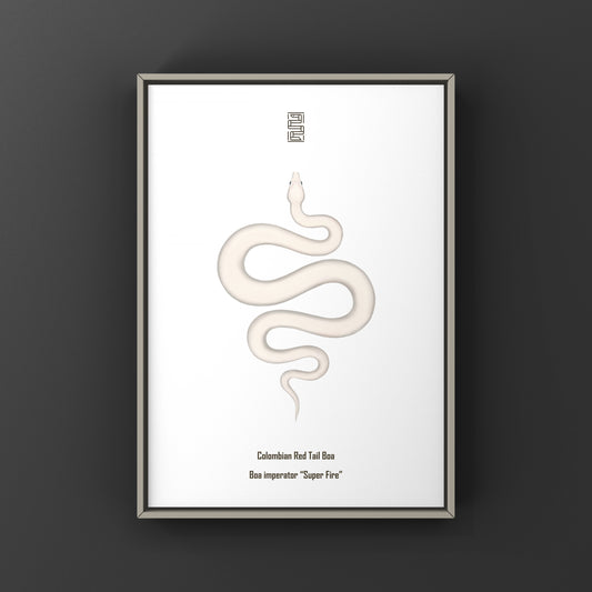 Super Fire Colombian Red Tail Boa Art Print from The Silk Ranch