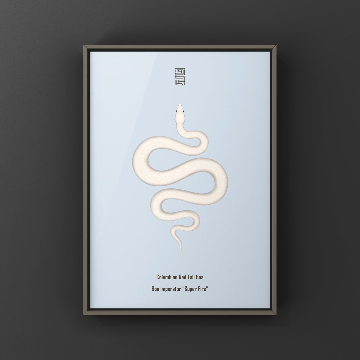 Colorful art print of a Colombian Red Tail Boa snake by The Silk Ranch, showcasing vibrant scales and intricate details.