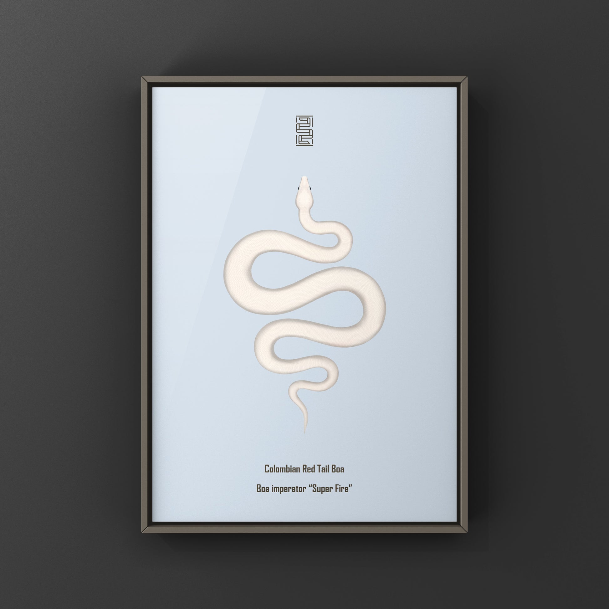 Colorful art print of a Colombian Red Tail Boa snake by The Silk Ranch, showcasing vibrant scales and intricate details.