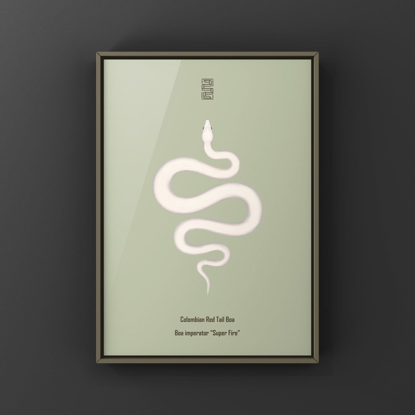 Colombian Red Tail Boa art print by The Silk Ranch featuring vibrant snake artwork on white background.