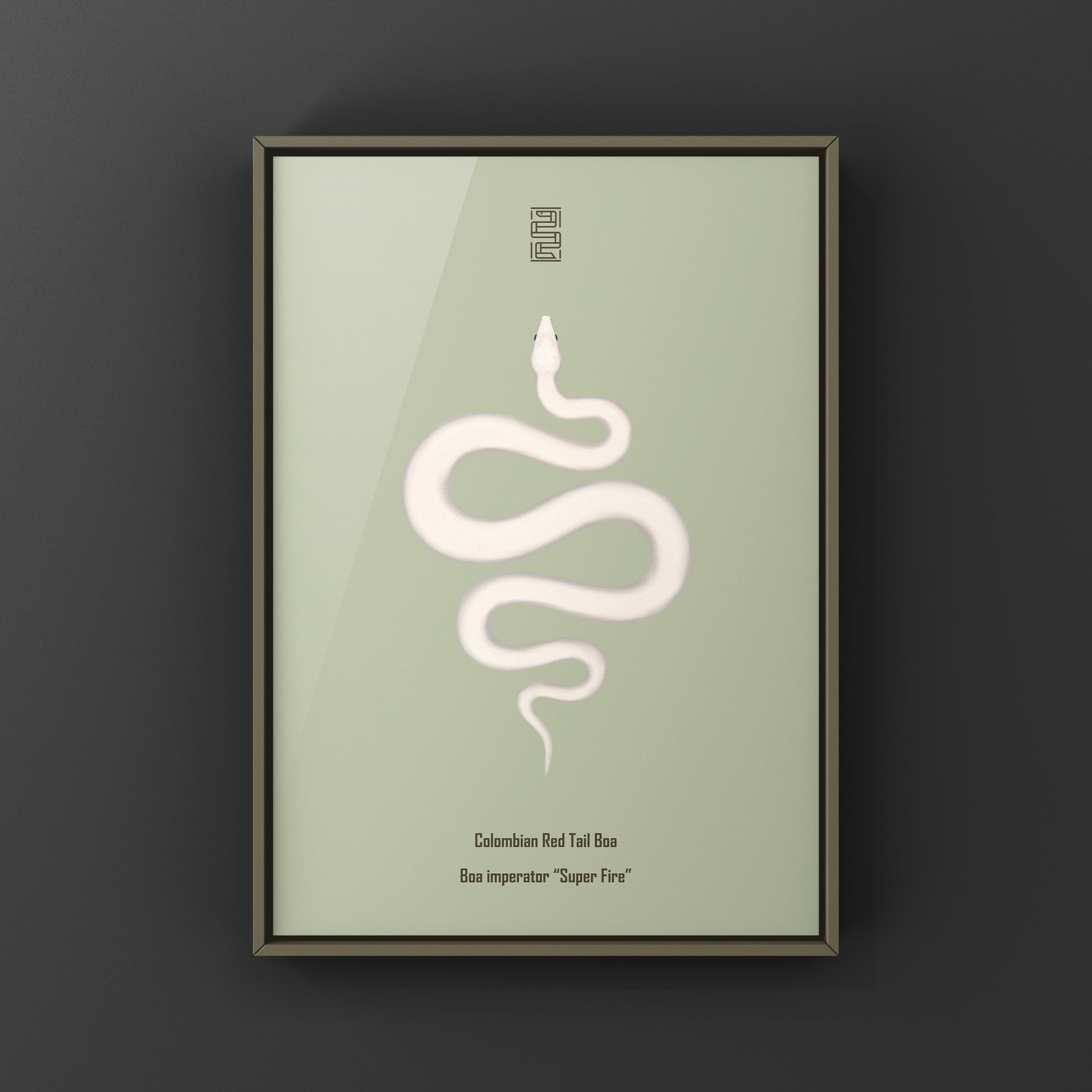 Colombian Red Tail Boa art print by The Silk Ranch featuring vibrant snake artwork on white background.