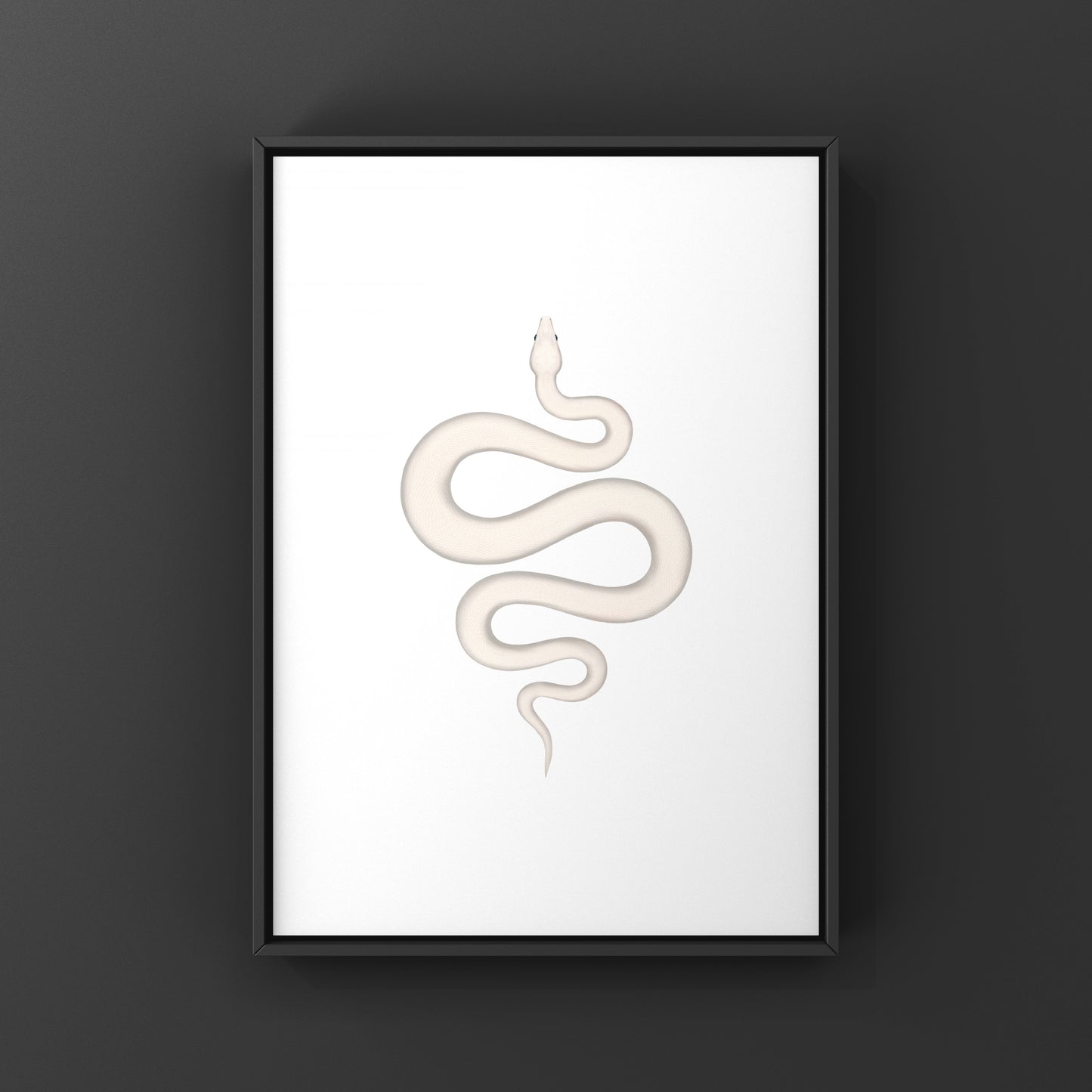 Colombian Red Tail Boa art print by The Silk Ranch, featuring vibrant red and brown snake details on high-quality paper.