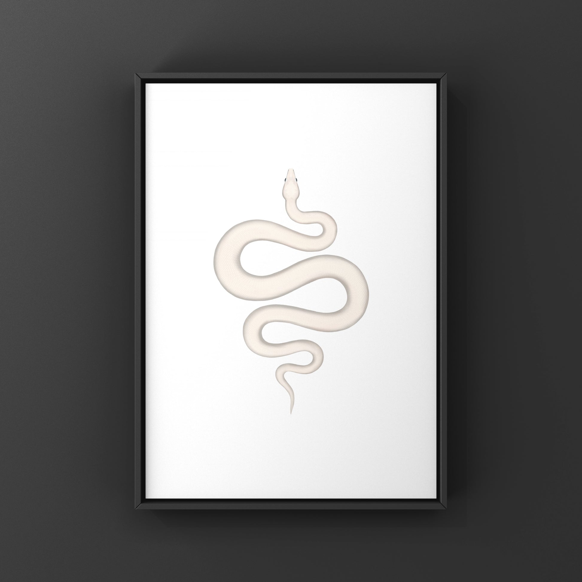 Colombian Red Tail Boa art print by The Silk Ranch, featuring vibrant red and brown snake details on high-quality paper.