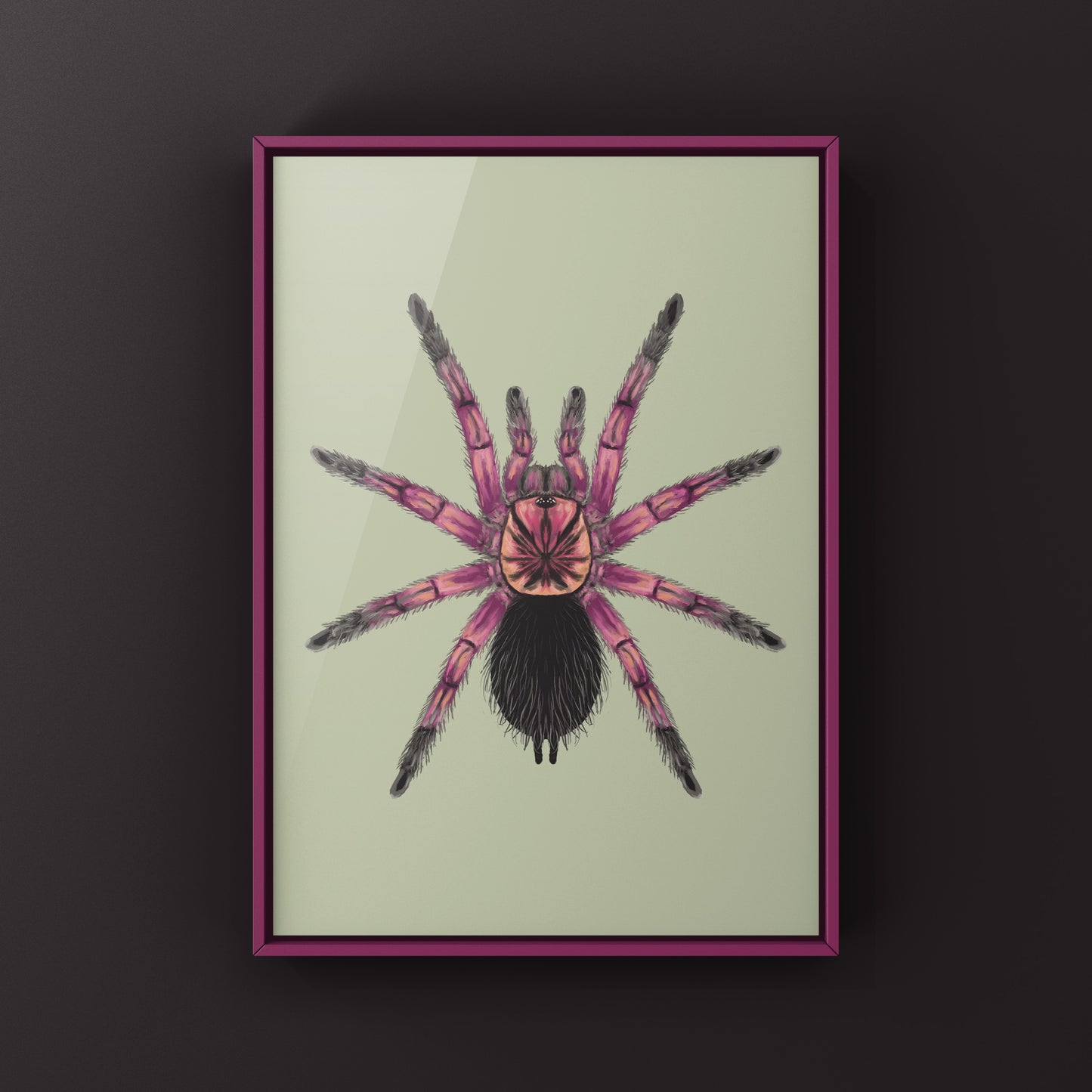 Duran Giant Birdeater Tarantula art print by The Silk Ranch, featuring detailed illustration of Pamphobeteus sp. Duran tarantula.