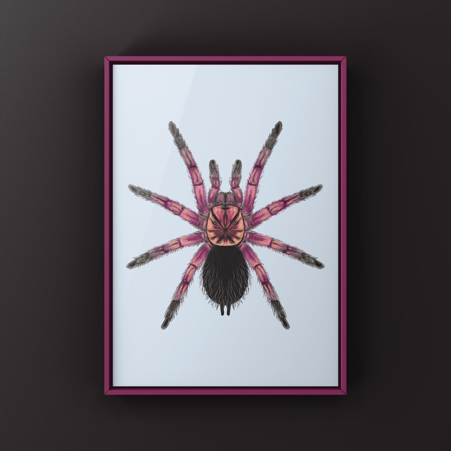 Detailed art print of a Duran Giant Birdeater Tarantula (Pamphobeteus sp. Duran) with vibrant colors and intricate spider details.